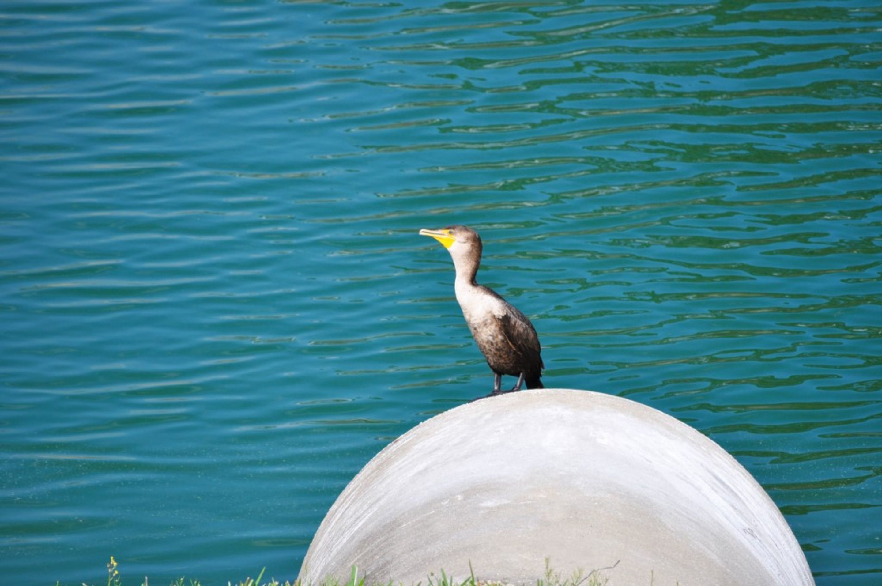 Emerald Island Resort