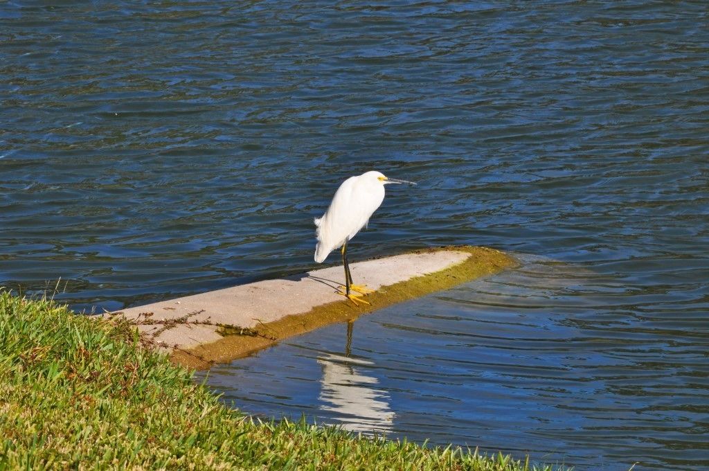 Emerald Island Resort