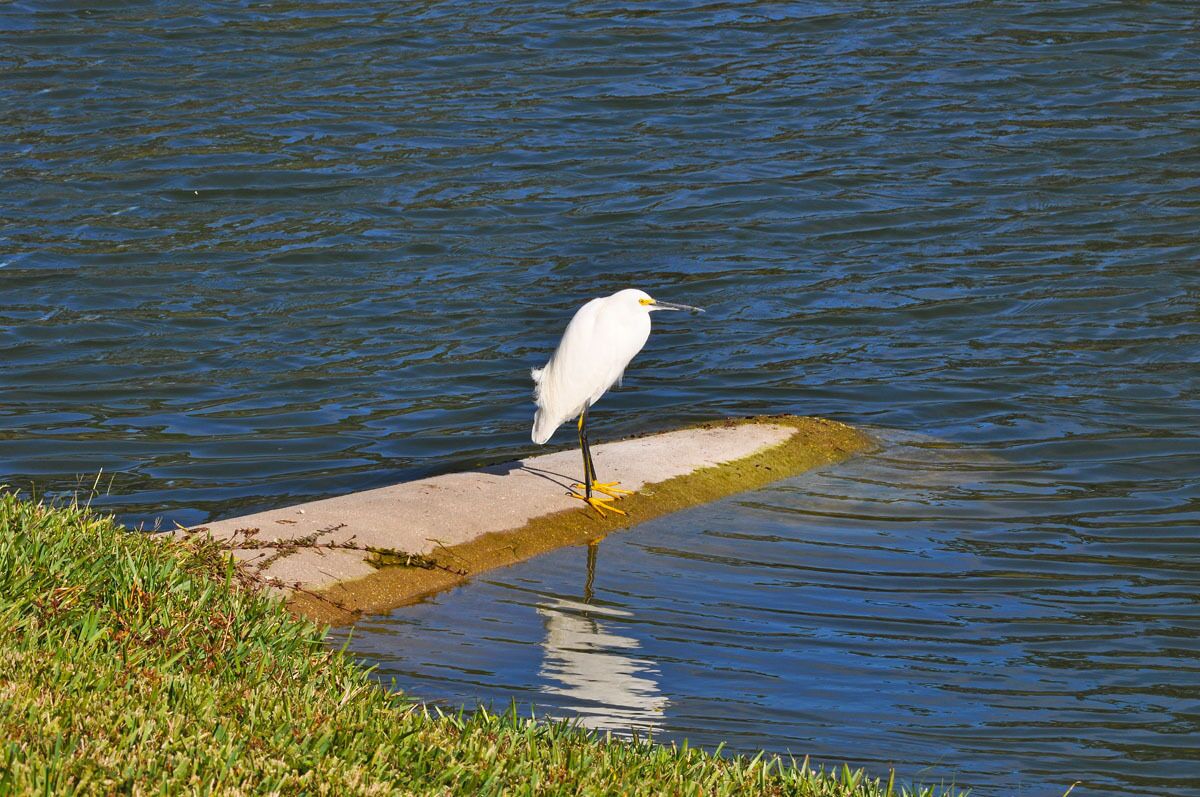 Emerald Island Resort