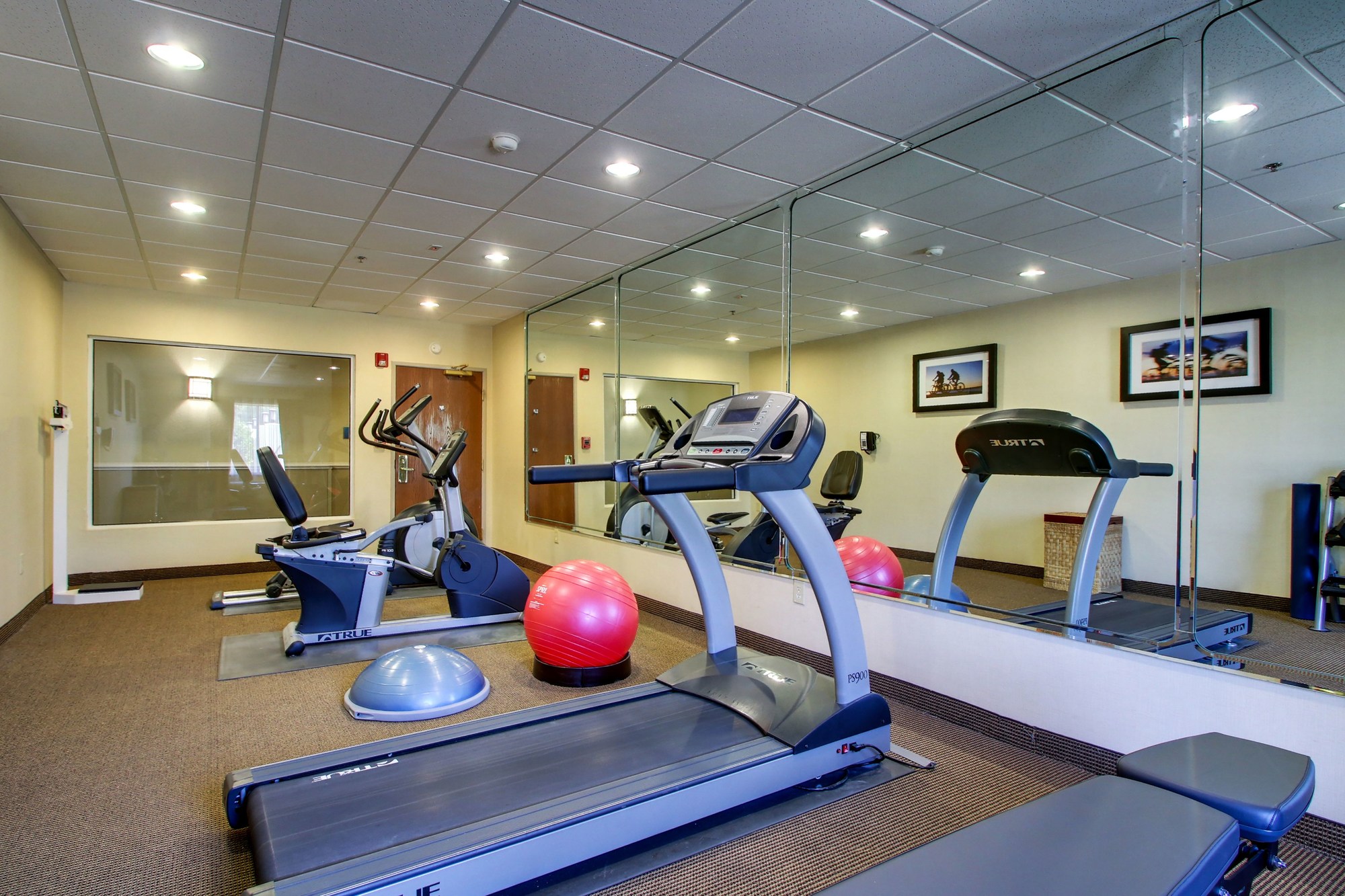 Holiday Inn Express & Suites Live oak