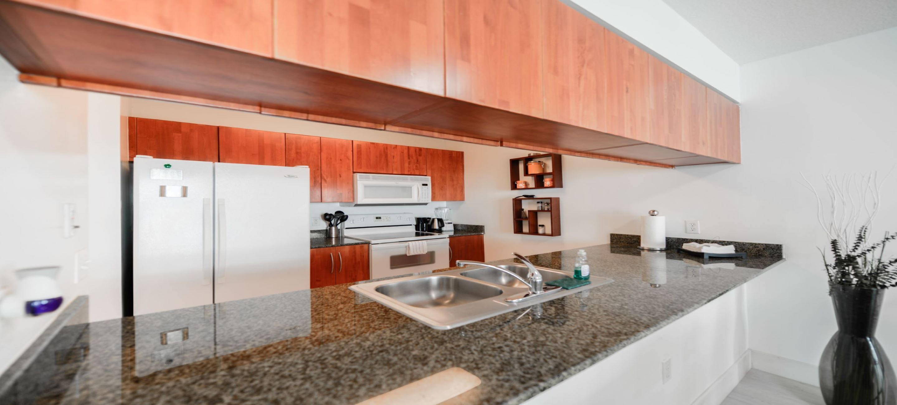 Icon Brickell Residences