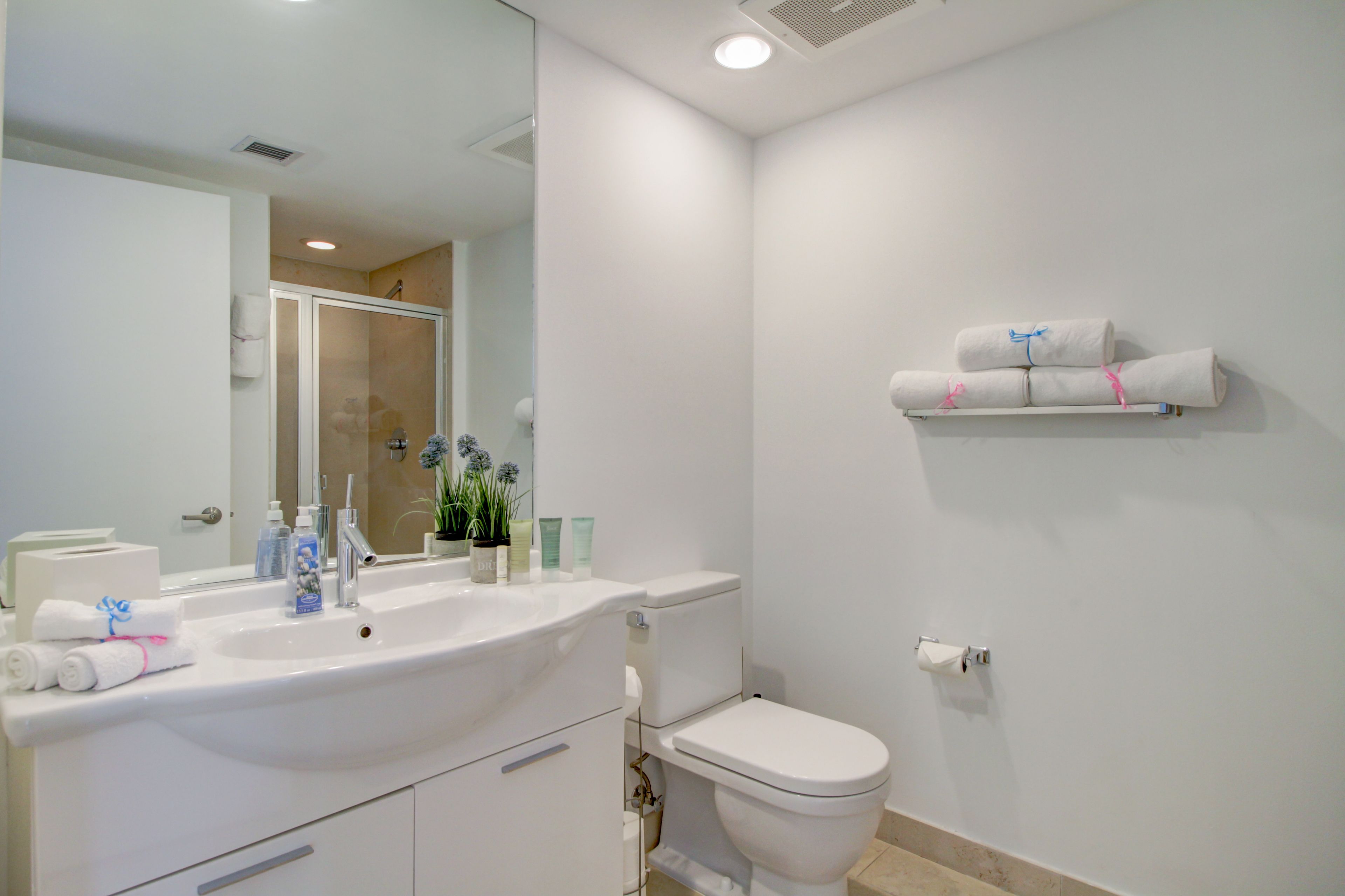 Icon Brickell Residences