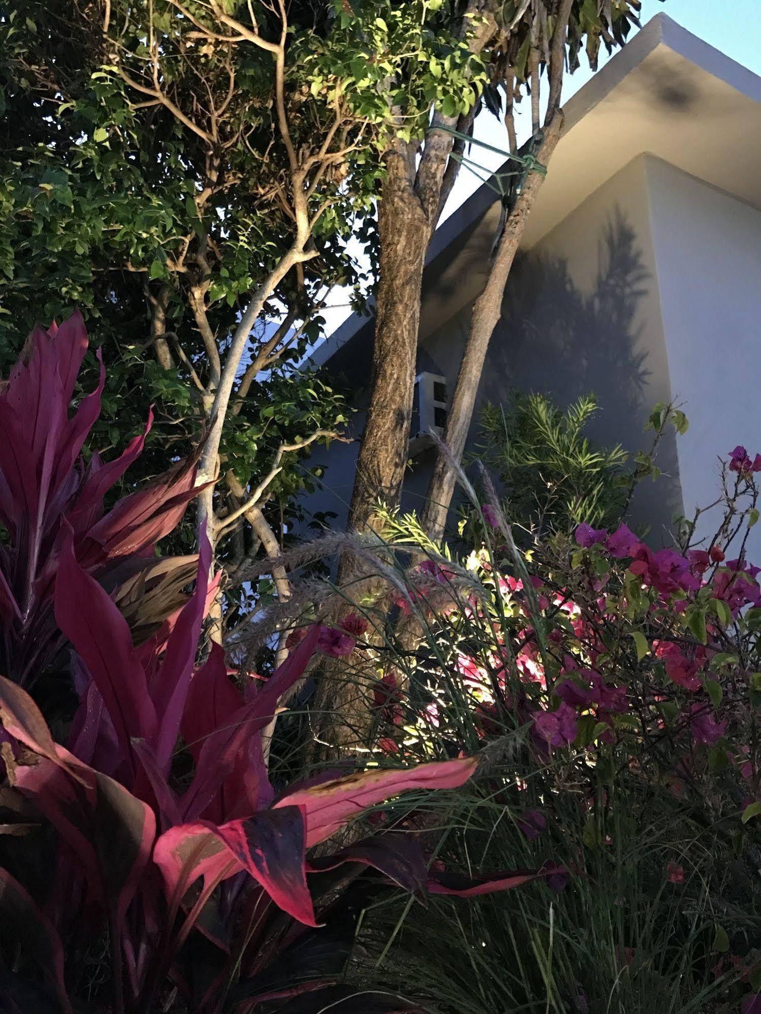Luxury Miami Beach Apartments By Michigan