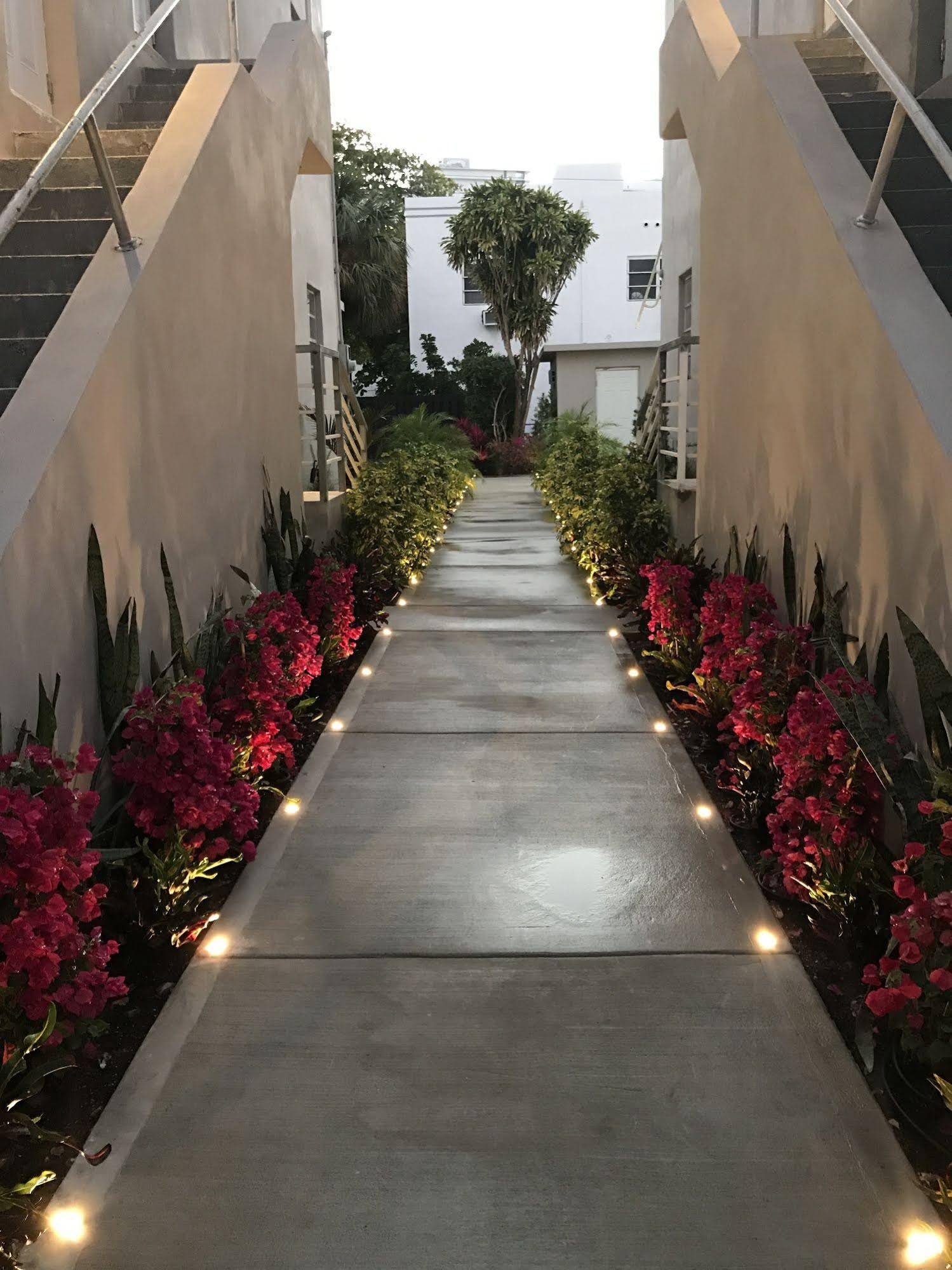 Luxury Miami Beach Apartments By Michigan