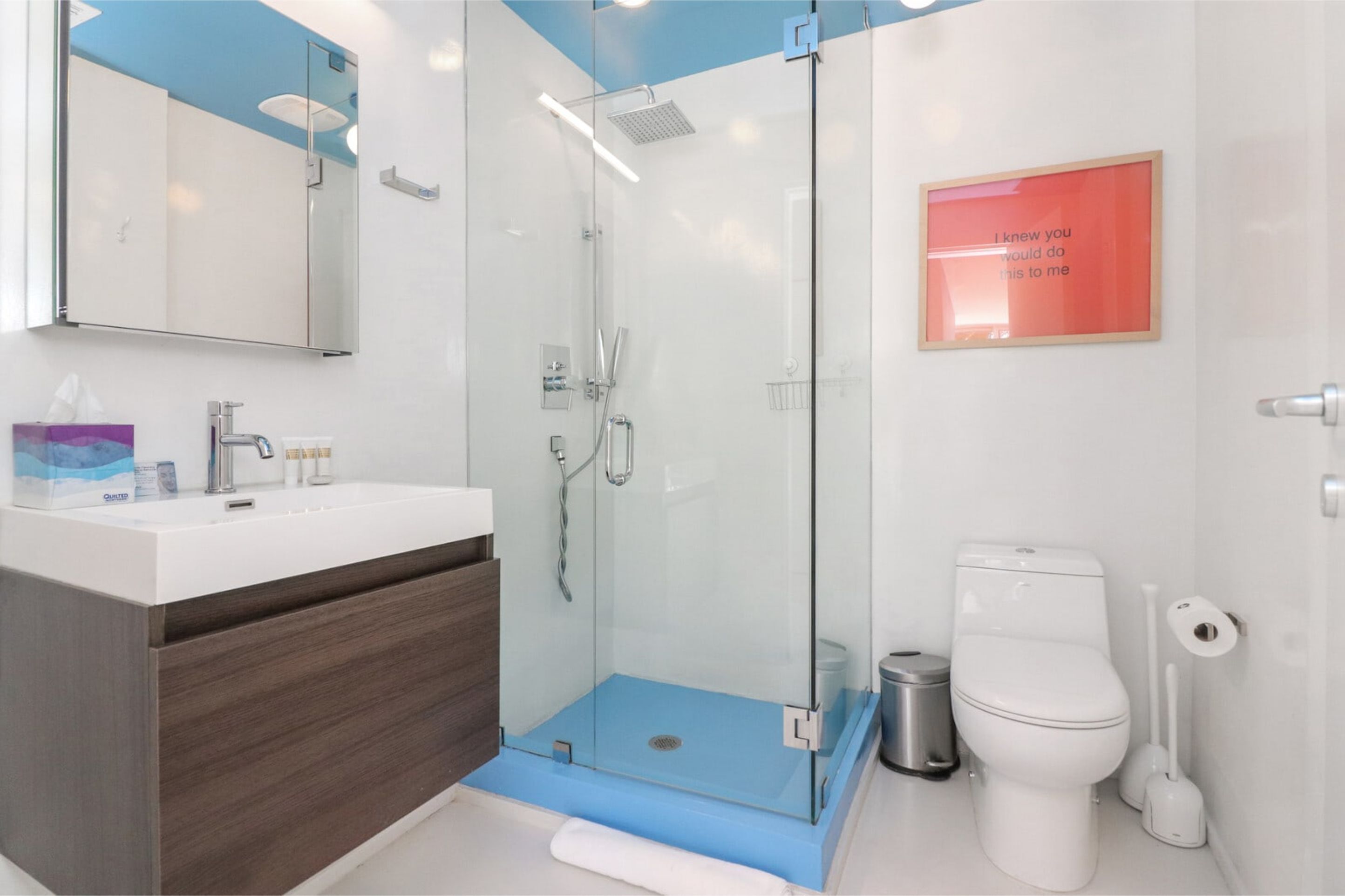 Roami At 250 Collins