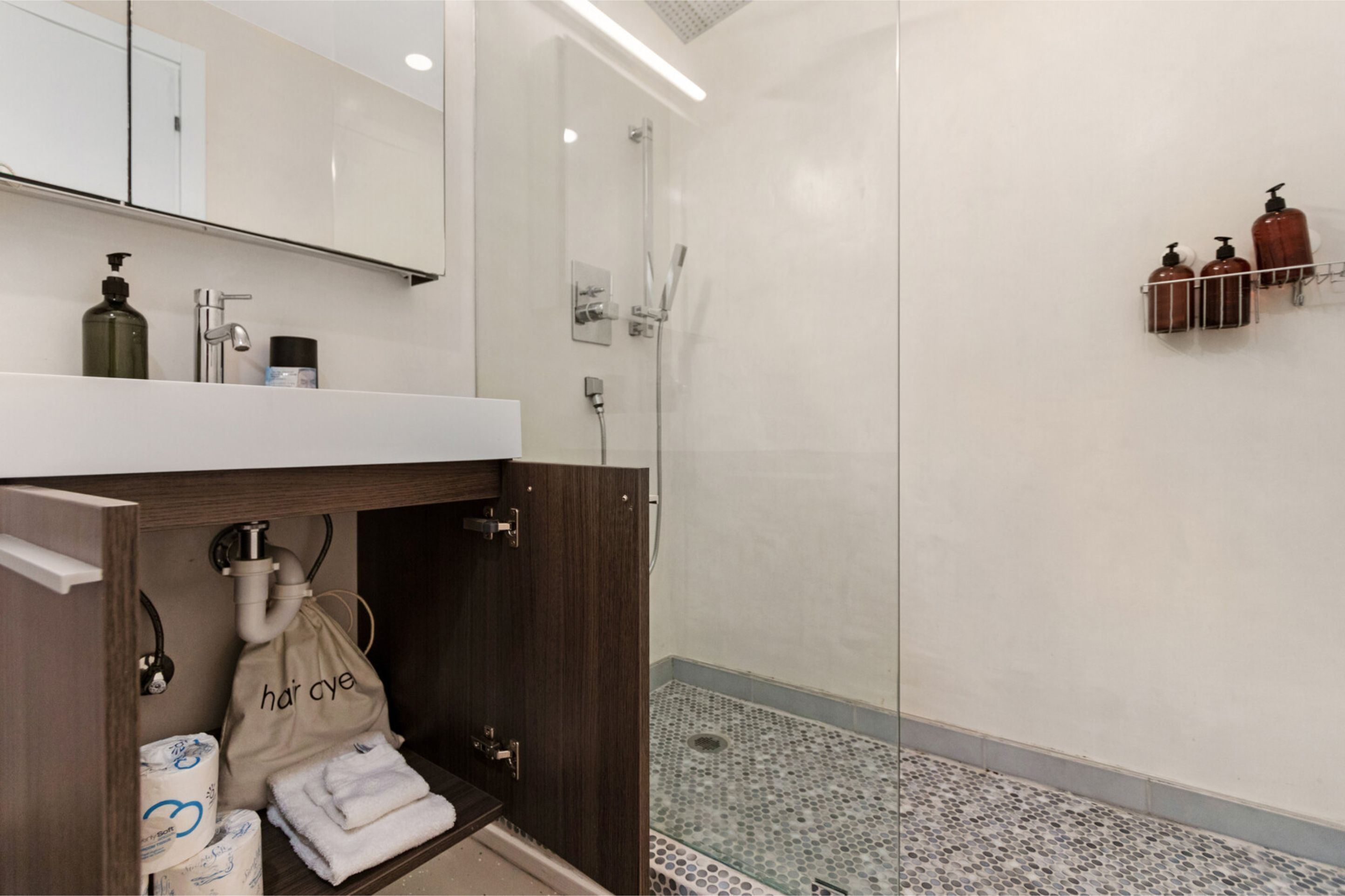 Roami At 250 Collins