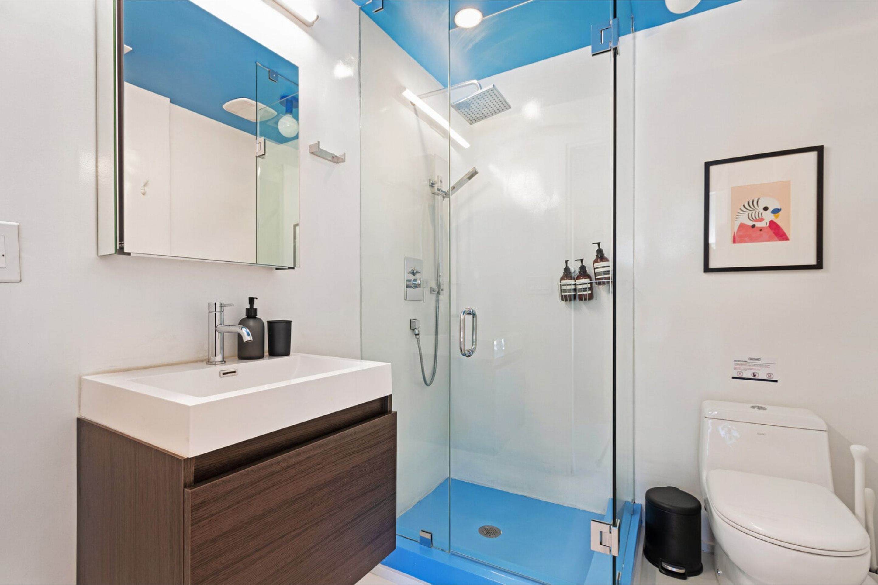 Roami At 250 Collins