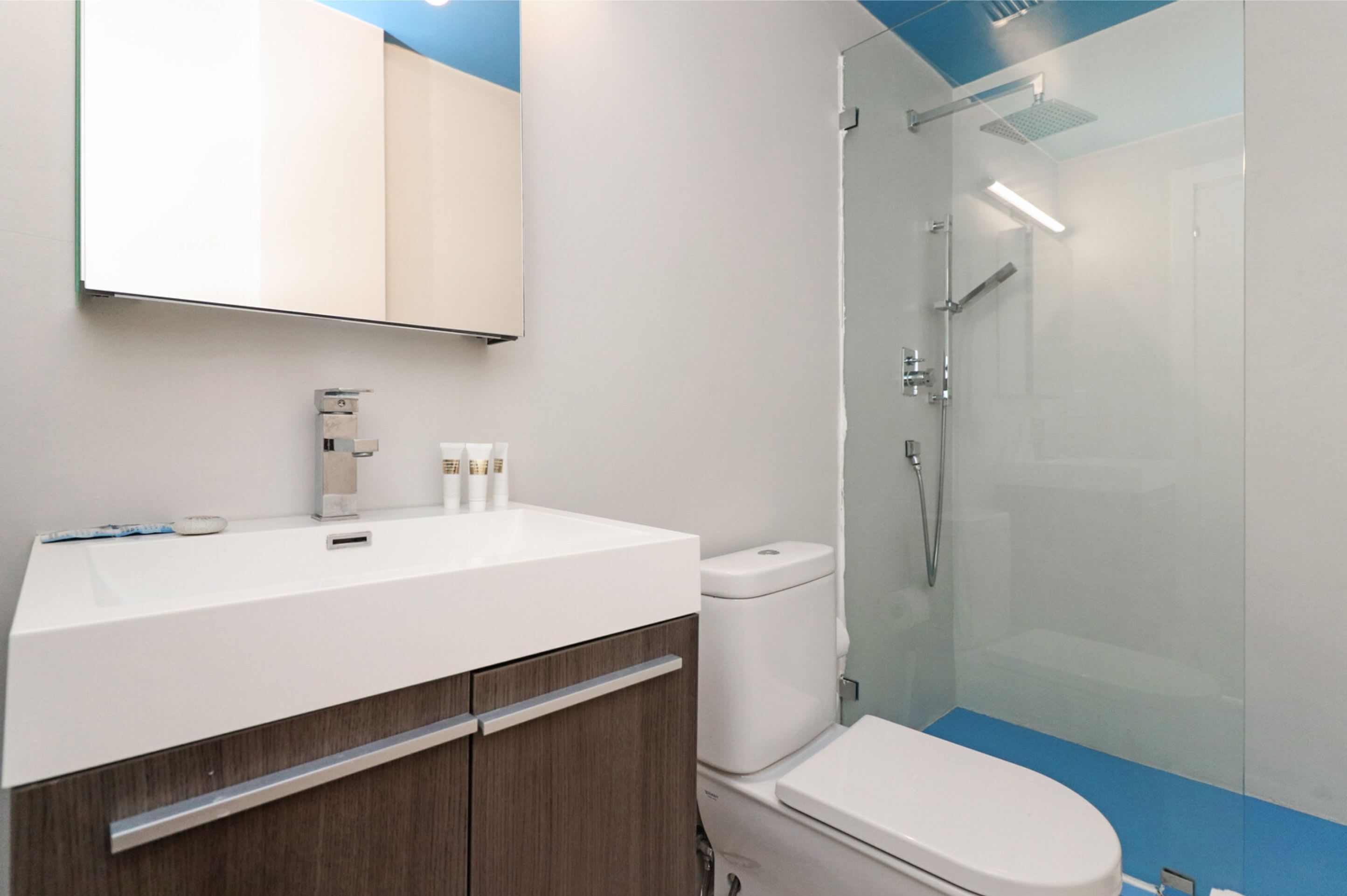 Roami At 250 Collins