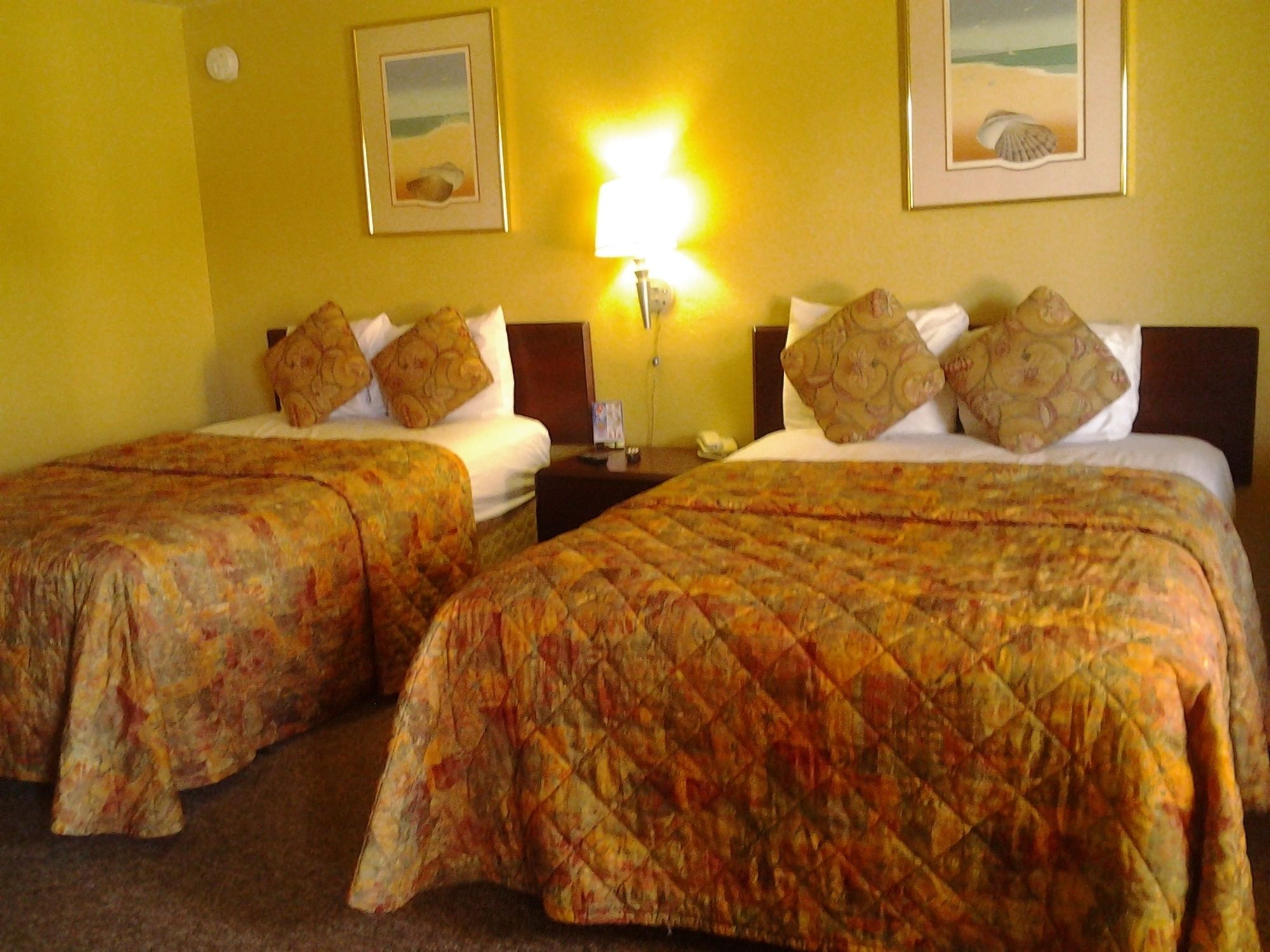 Budget Lodge Mount Dora