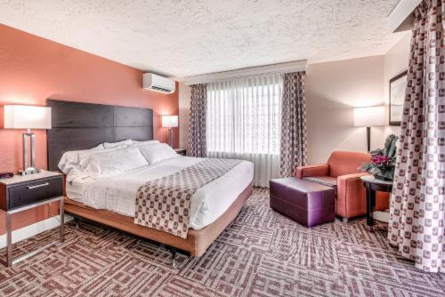 Inn of Naples, Tapestry Collection by Hilton