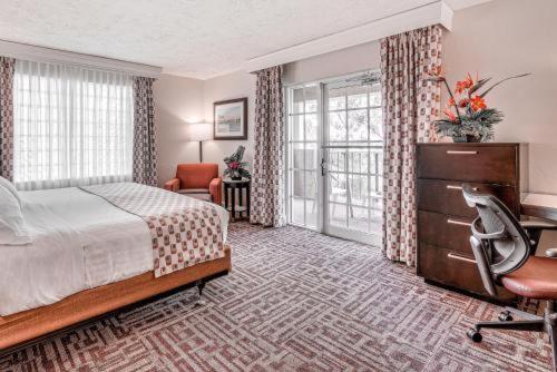 Inn of Naples, Tapestry Collection by Hilton