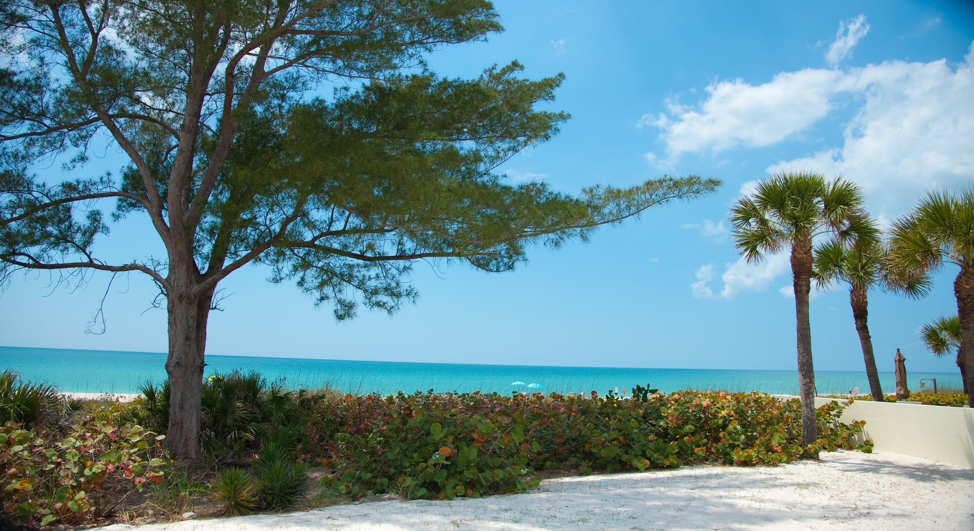 On the Beach Casey Key