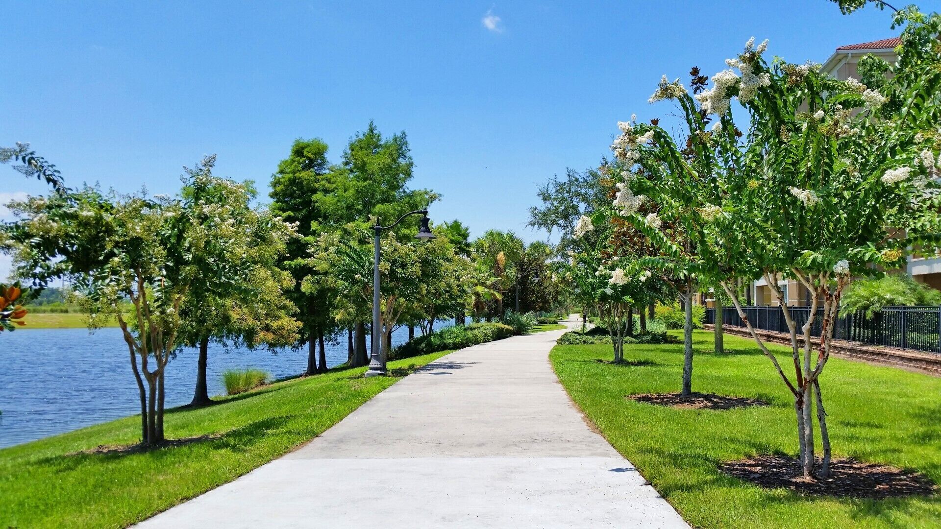 Lake Front Oasis