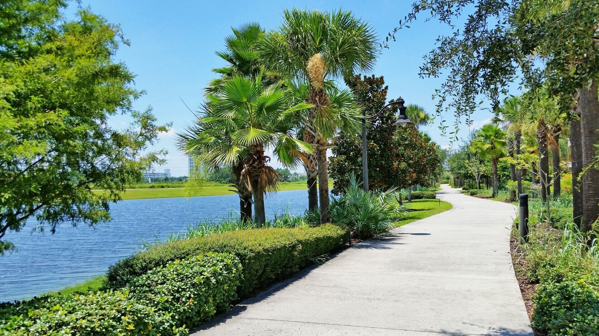Lake Front Oasis