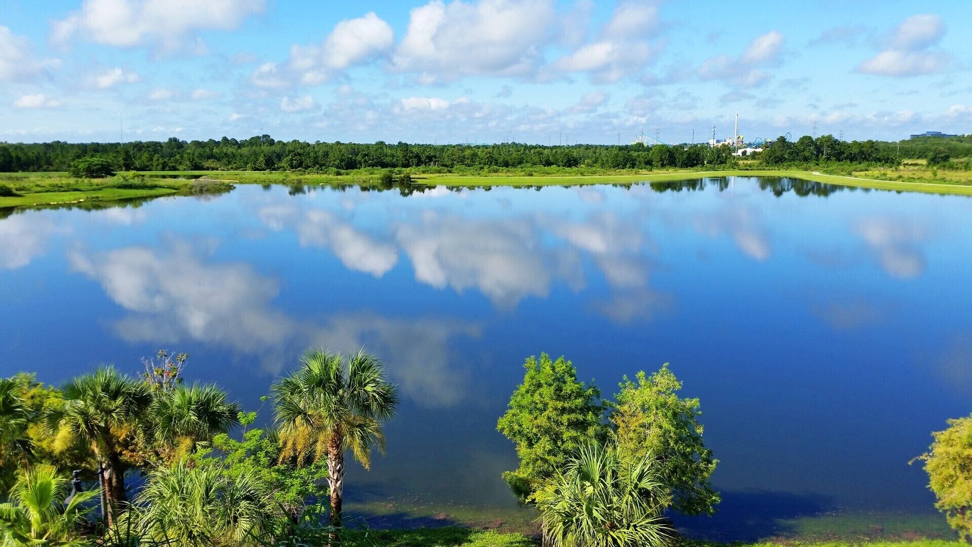 Lake Front Oasis