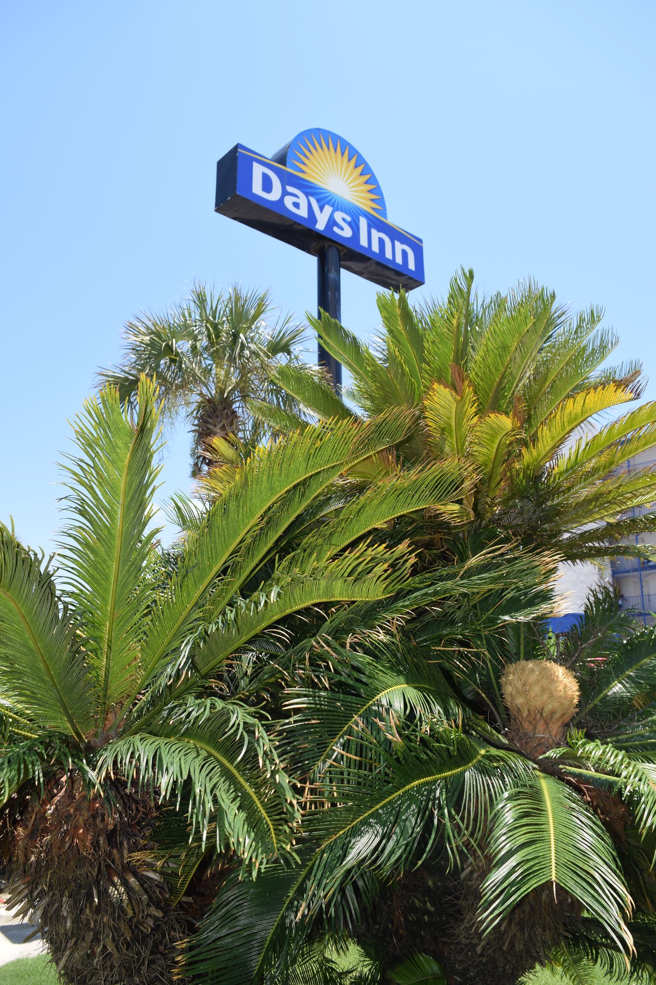 Days Inn by Wyndham Panama City Beach/Ocean Front