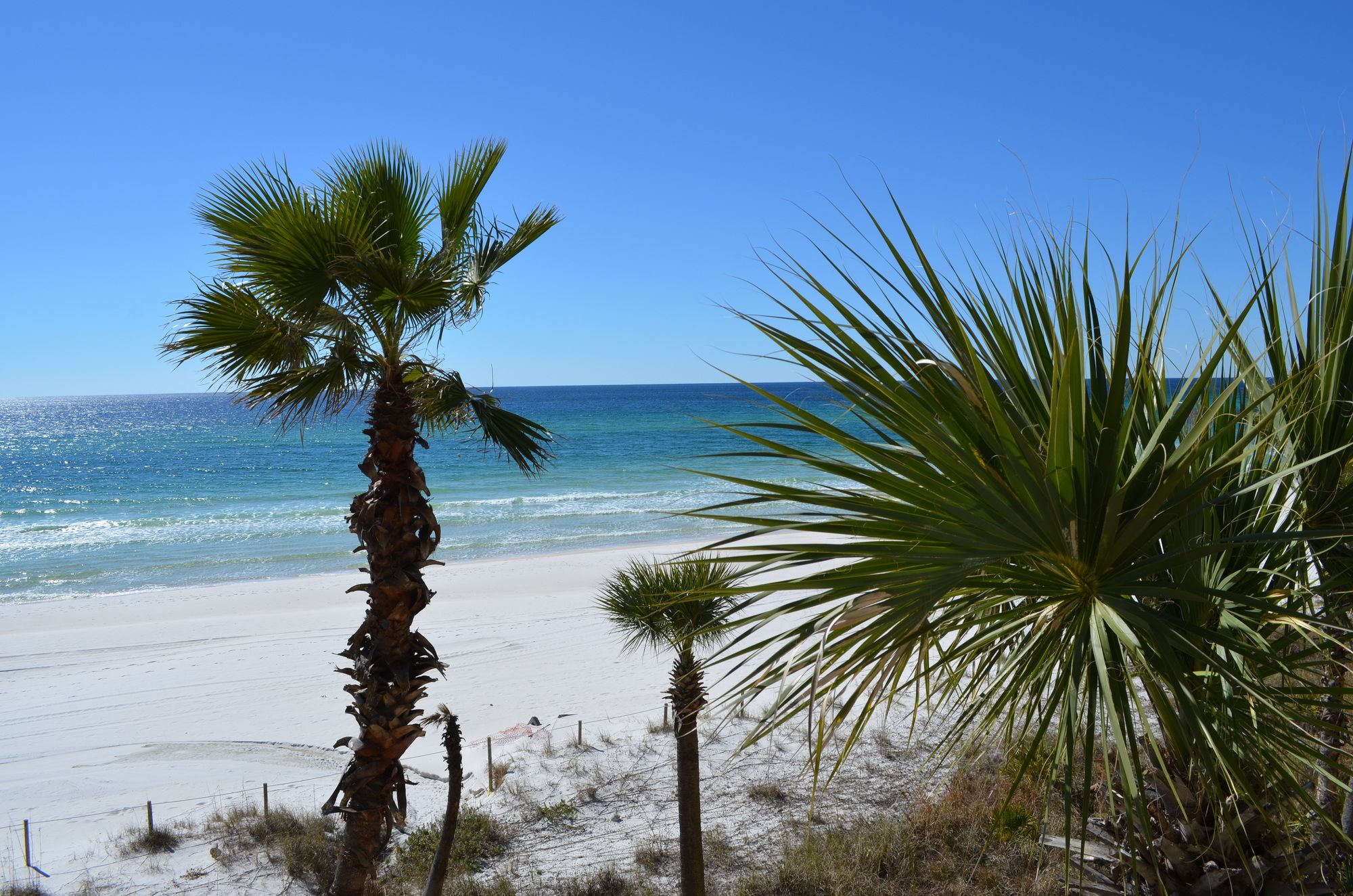 Days Inn by Wyndham Panama City Beach/Ocean Front