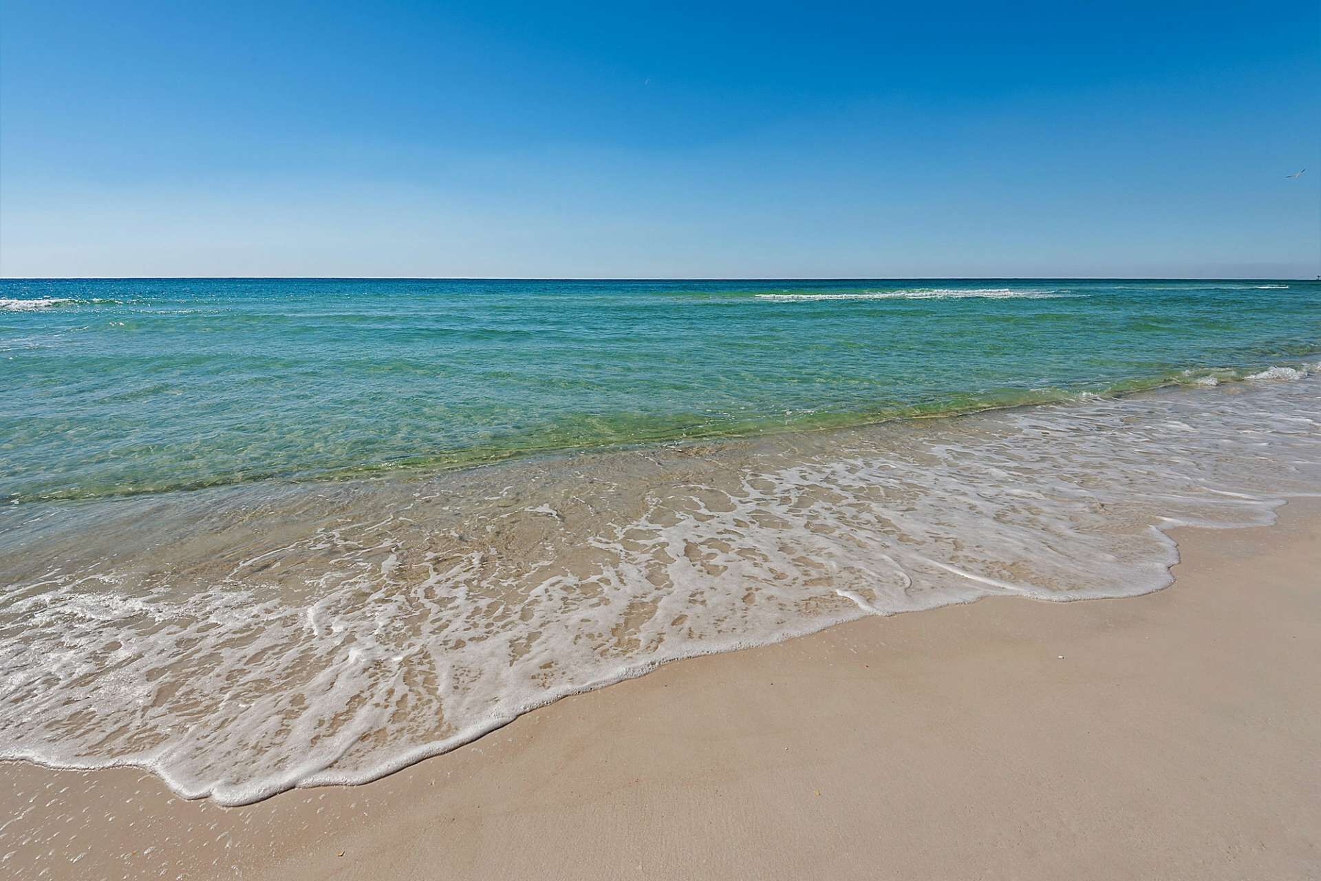 Shores of Panama by iTrip VR