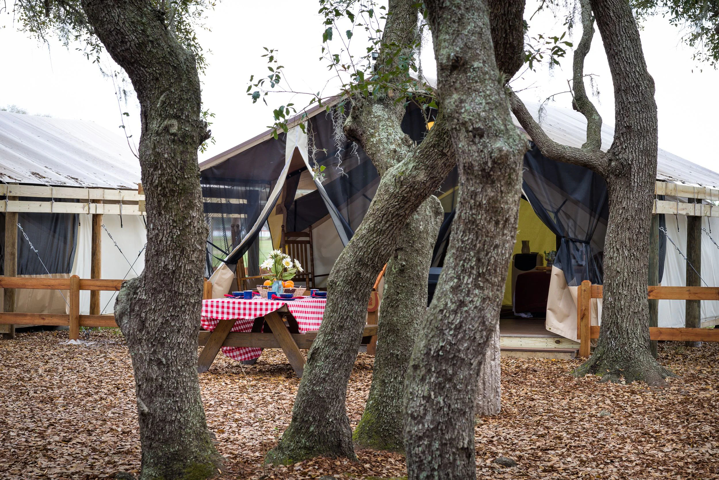 Westgate River Ranch Resort & Rodeo