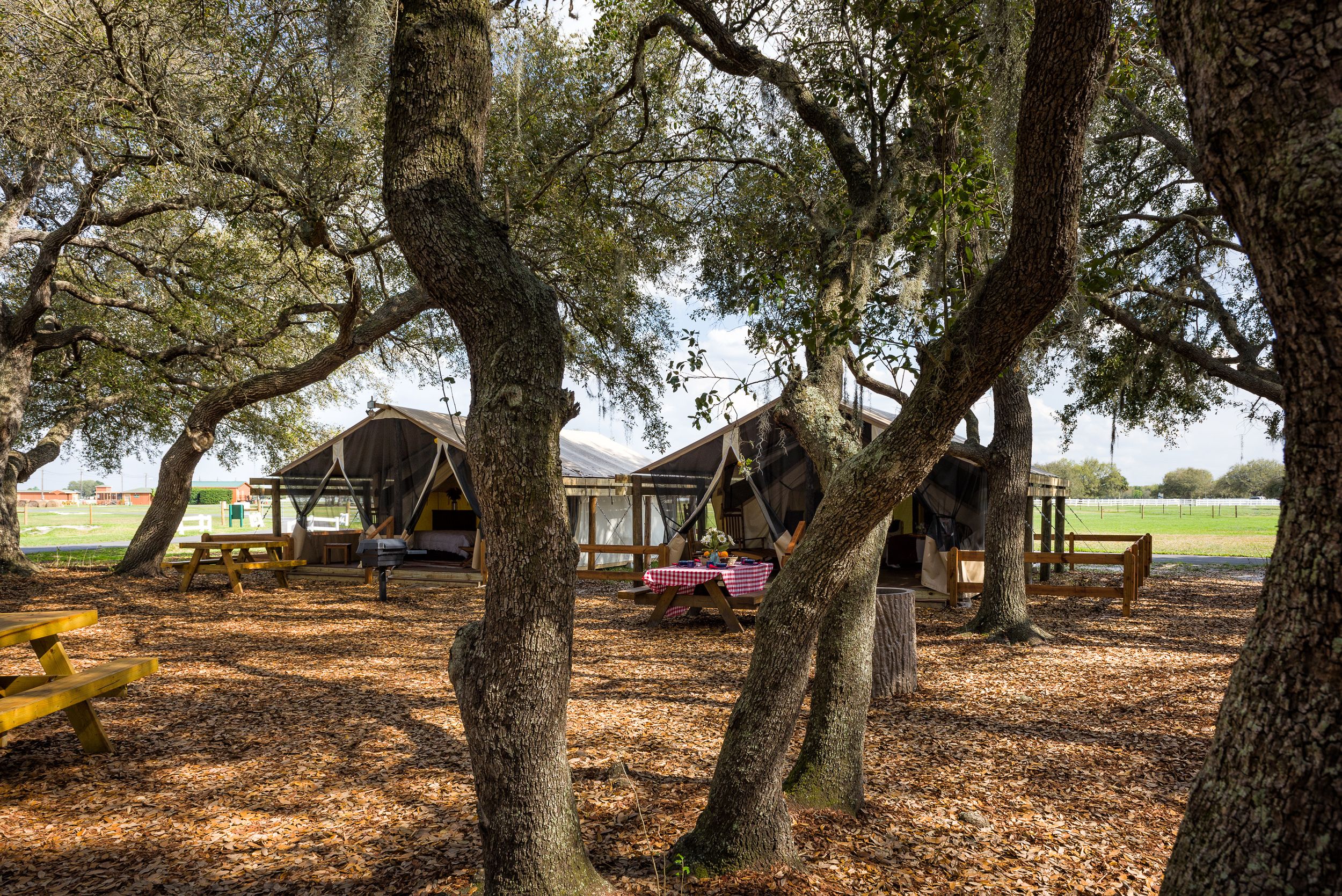 Westgate River Ranch Resort & Rodeo