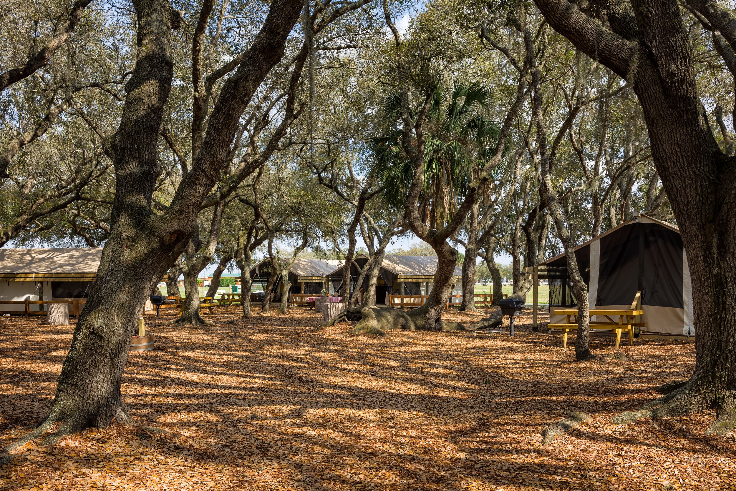 Westgate River Ranch Resort & Rodeo