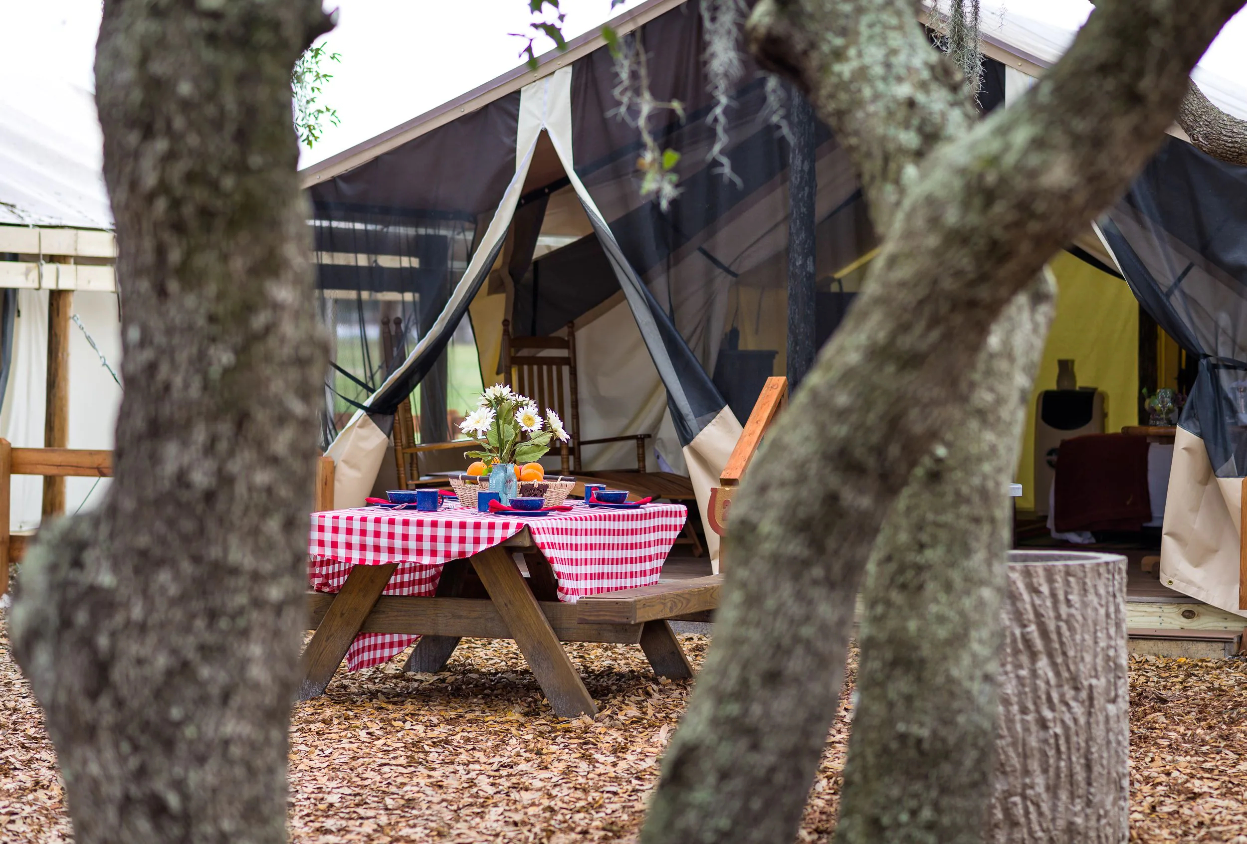 Westgate River Ranch Resort & Rodeo