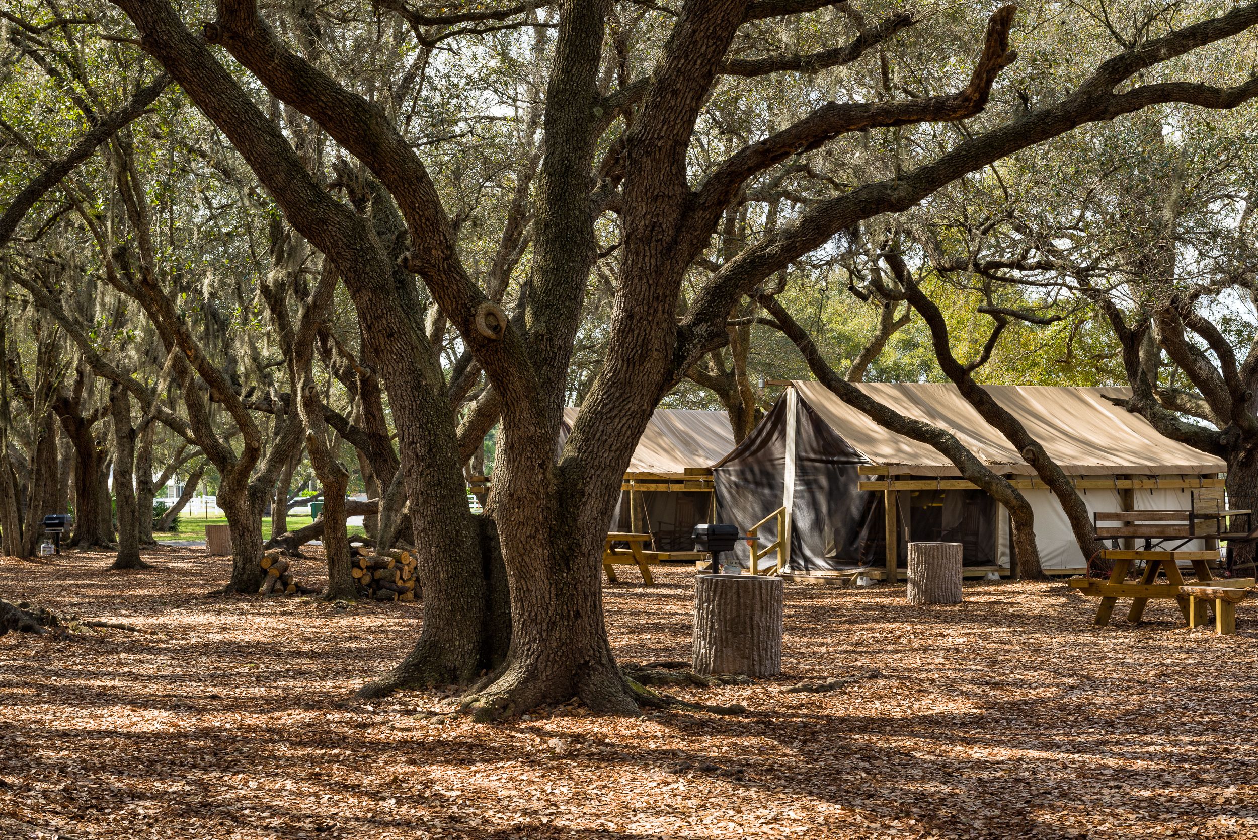 Westgate River Ranch Resort & Rodeo