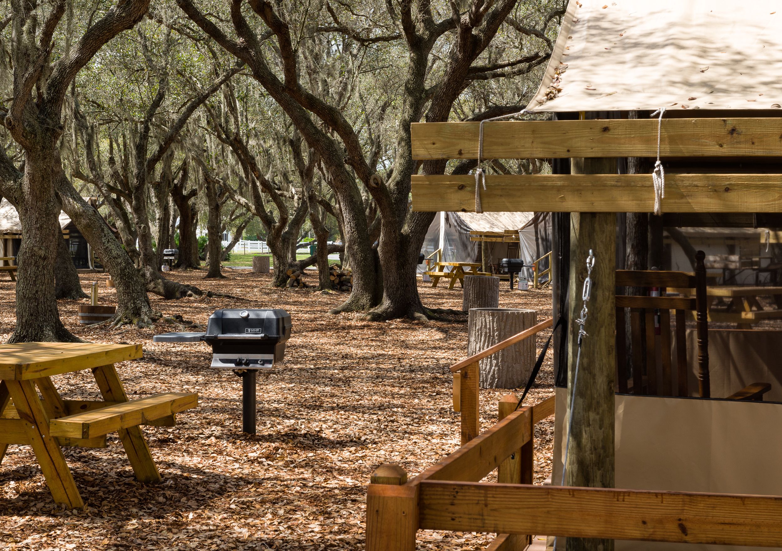 Westgate River Ranch Resort & Rodeo