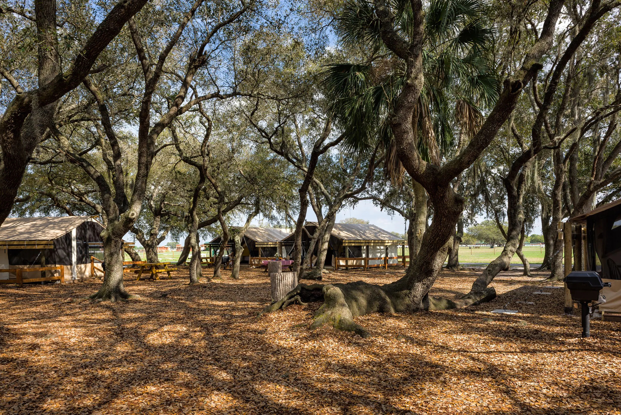 Westgate River Ranch Resort & Rodeo