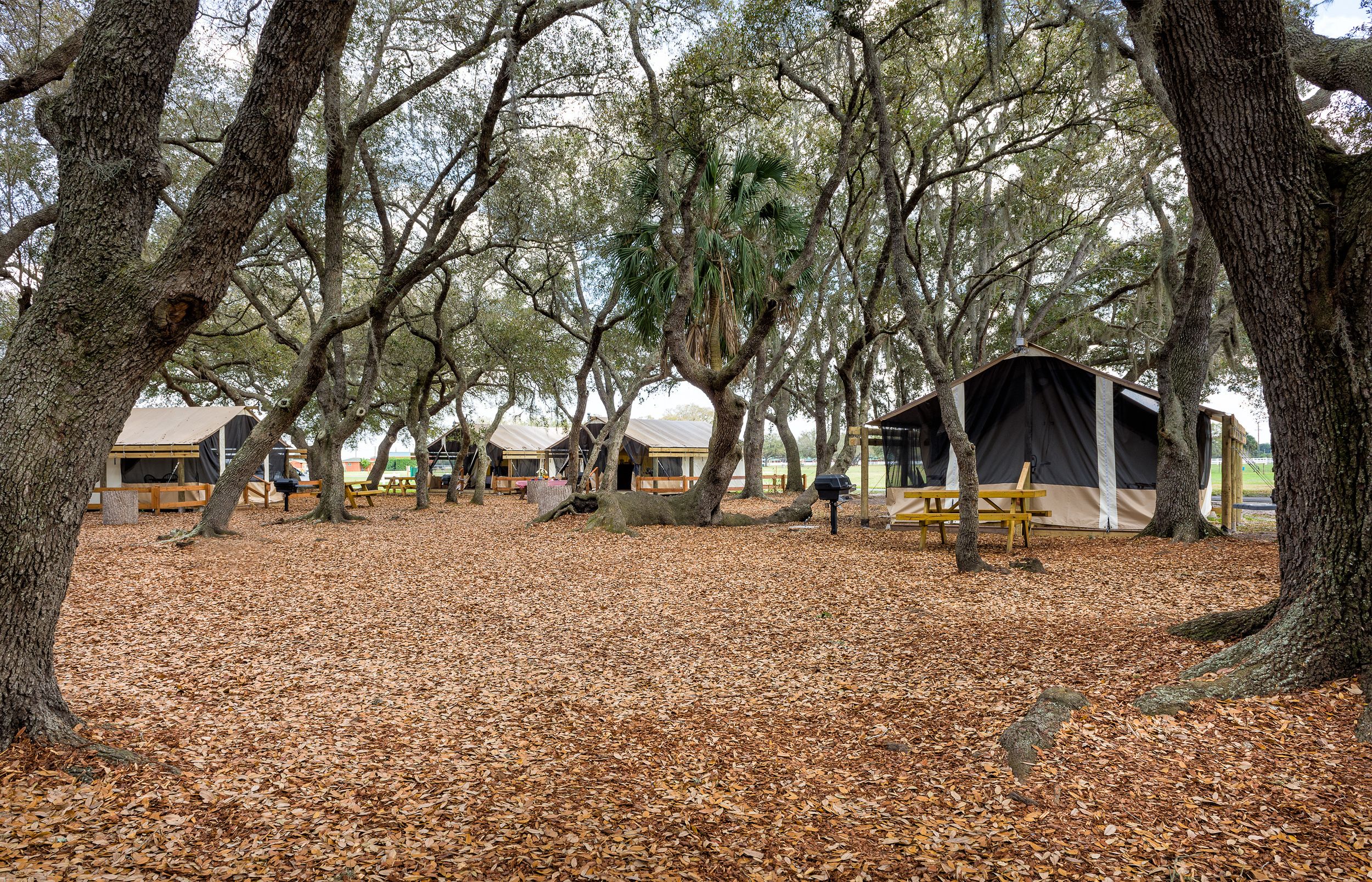 Westgate River Ranch Resort & Rodeo