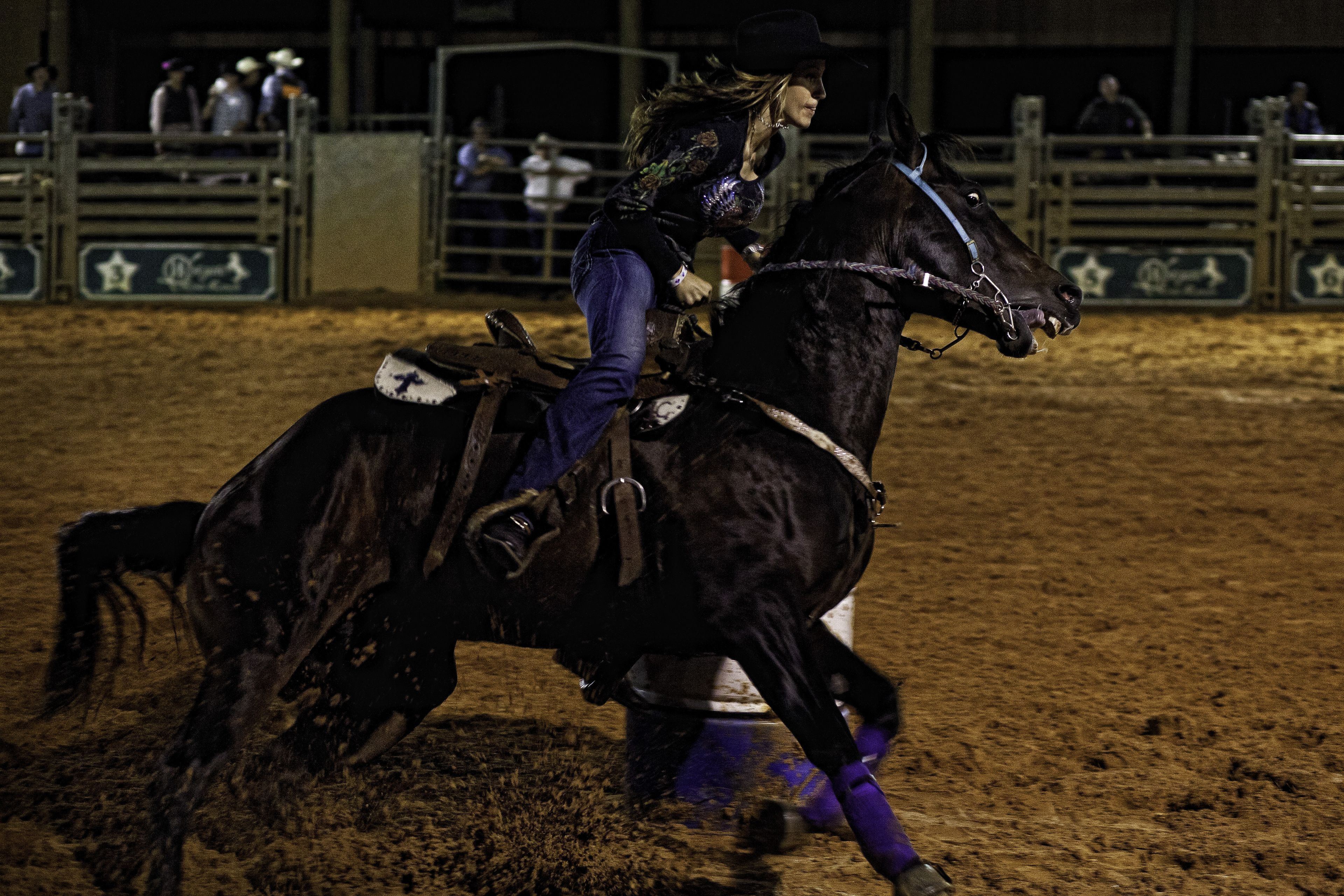 Westgate River Ranch Resort & Rodeo