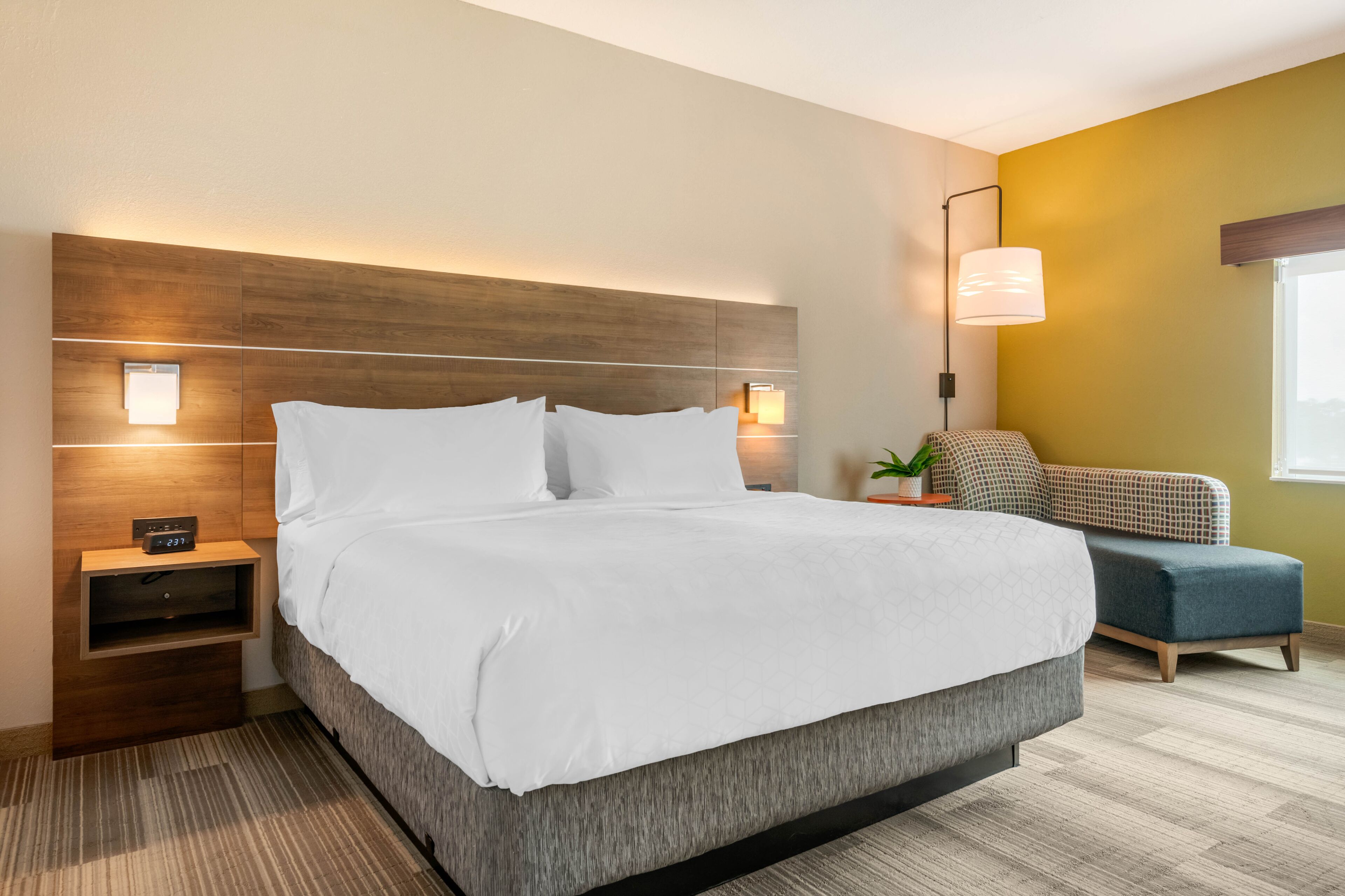 Holiday Inn Express & Suites Ruskin