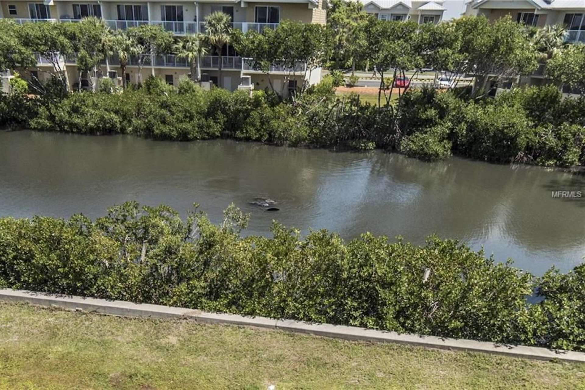 Little Harbor by PRP