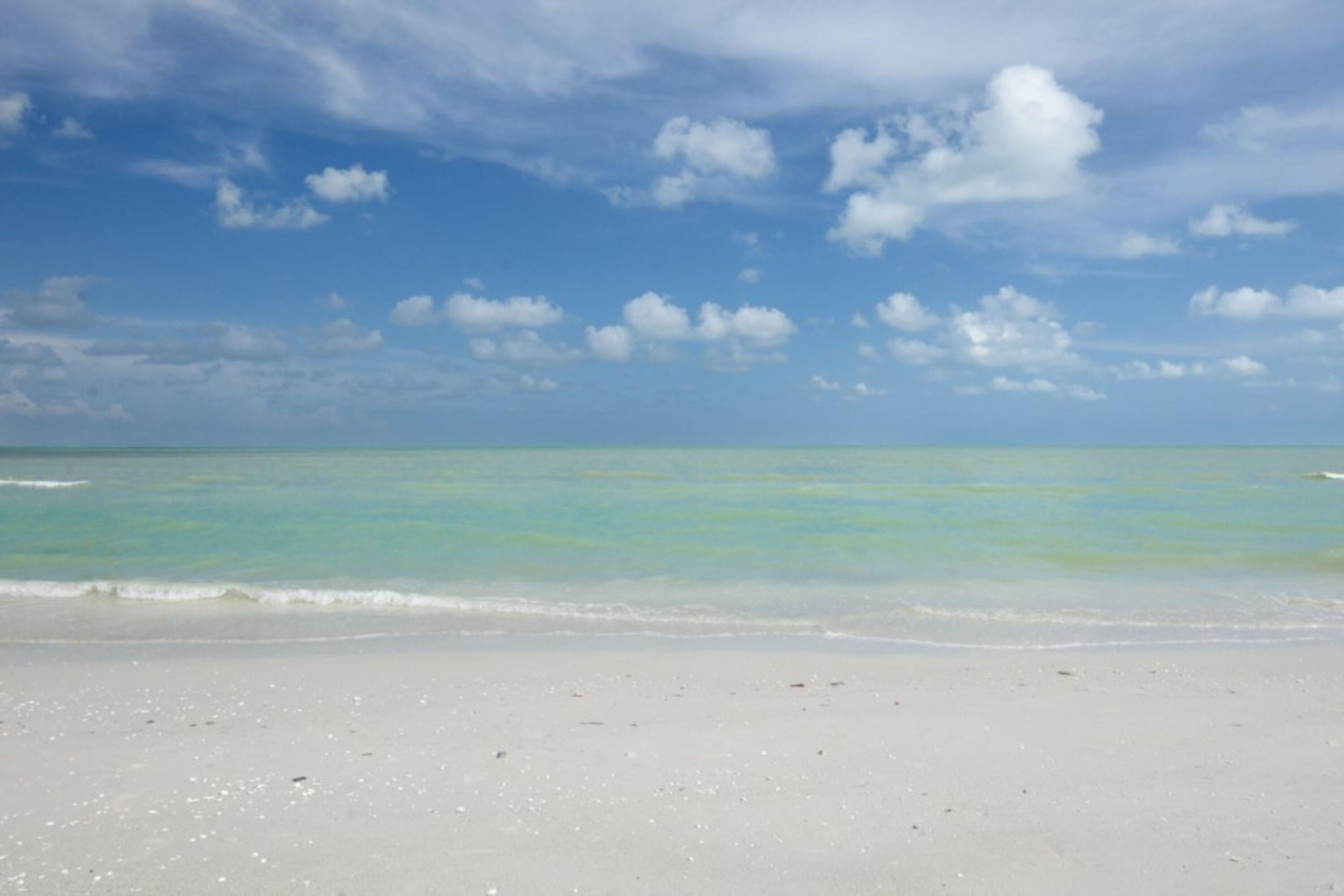 Loggerhead Cay Condominiums