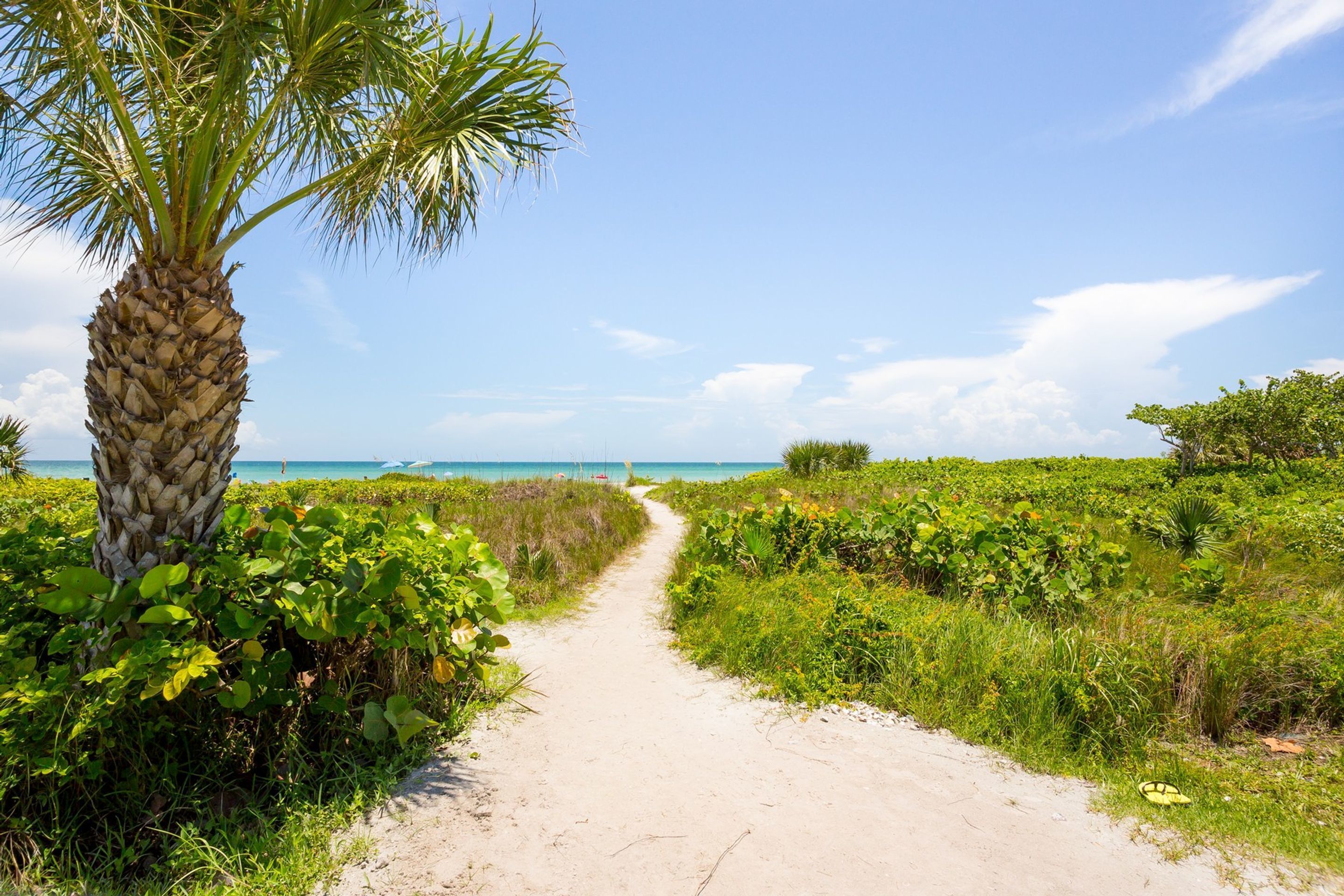 Loggerhead Cay Condominiums
