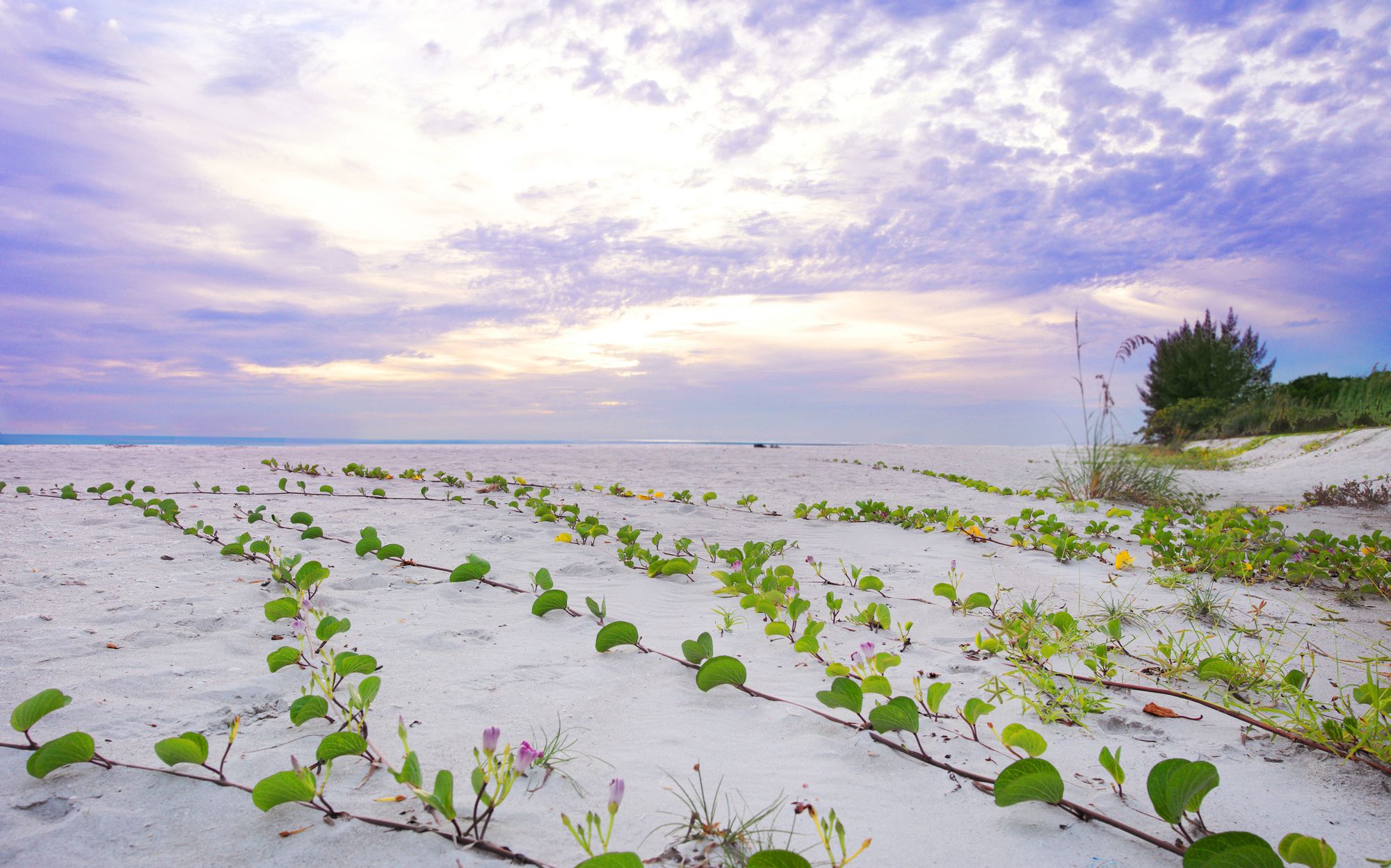 West Wind Island Resort