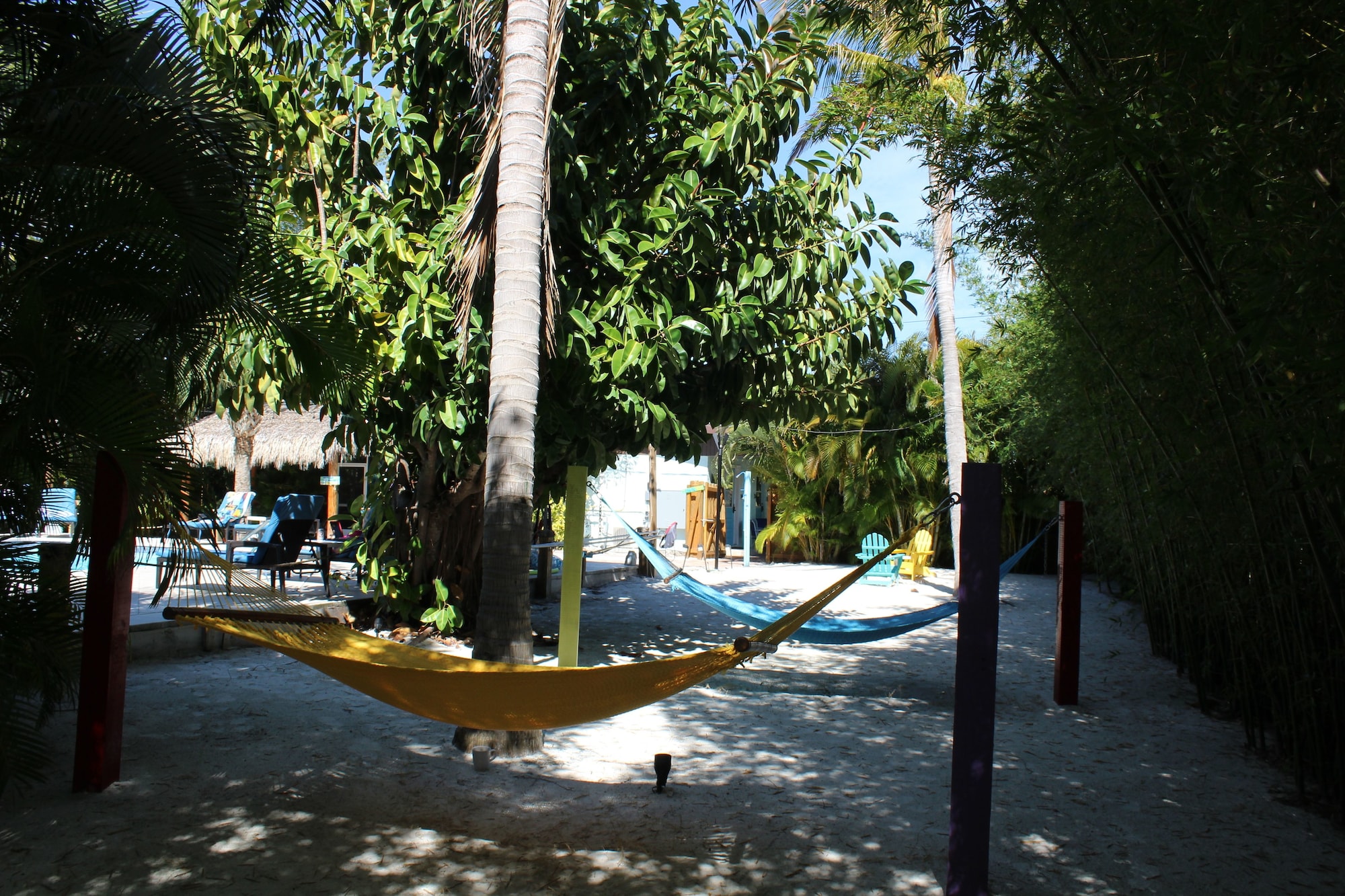 Siesta Key Palms Hotel
