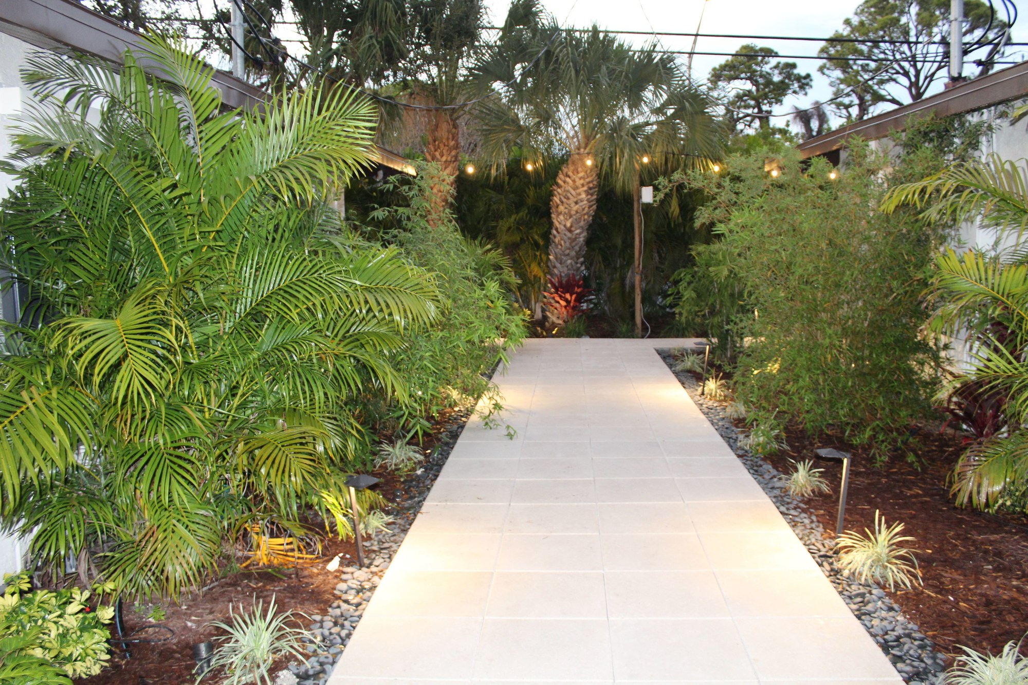 Siesta Key Palms Hotel