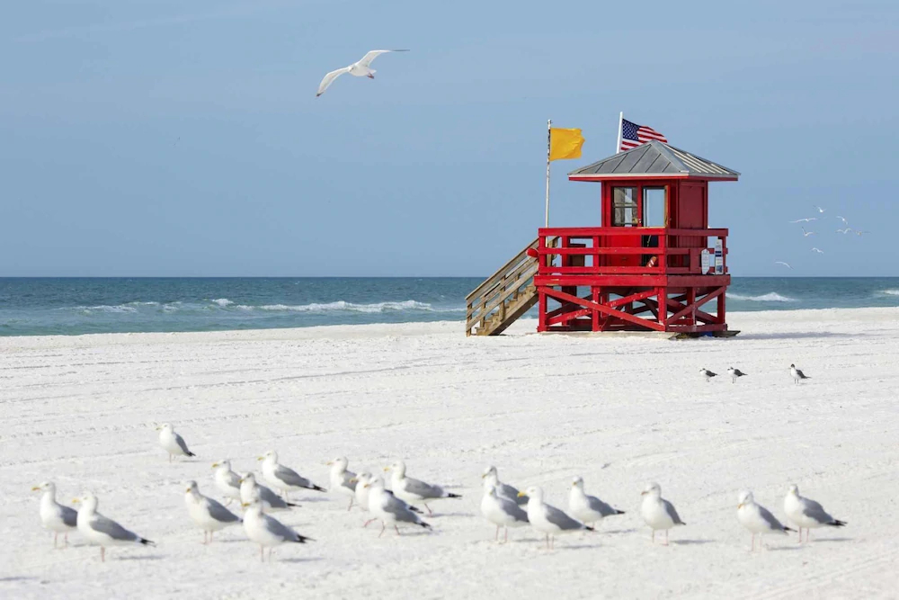 The Beach Club at Siesta Key