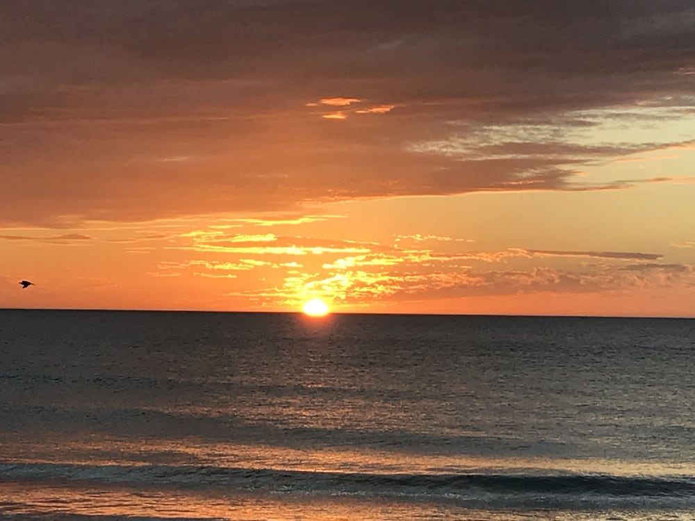 Rad's Cozy Cottage on Canal