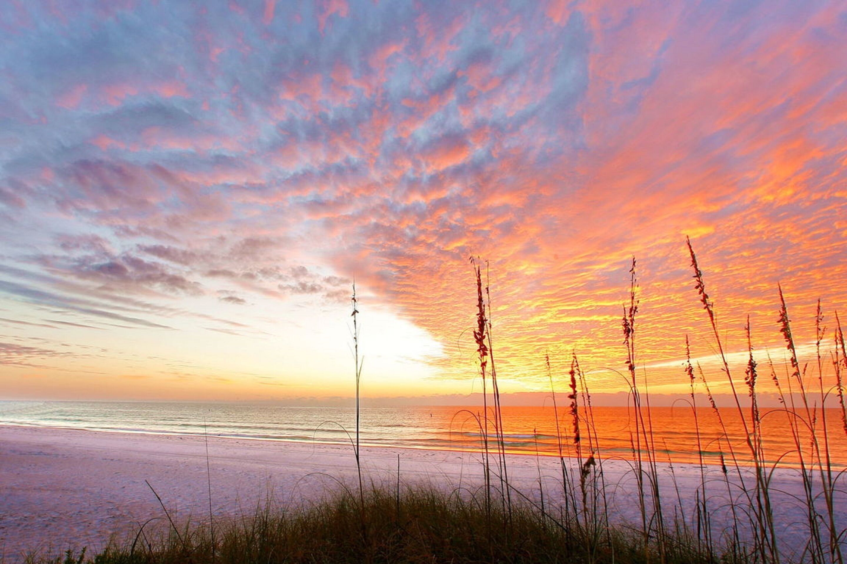 Sun and Sea by Beachside Management