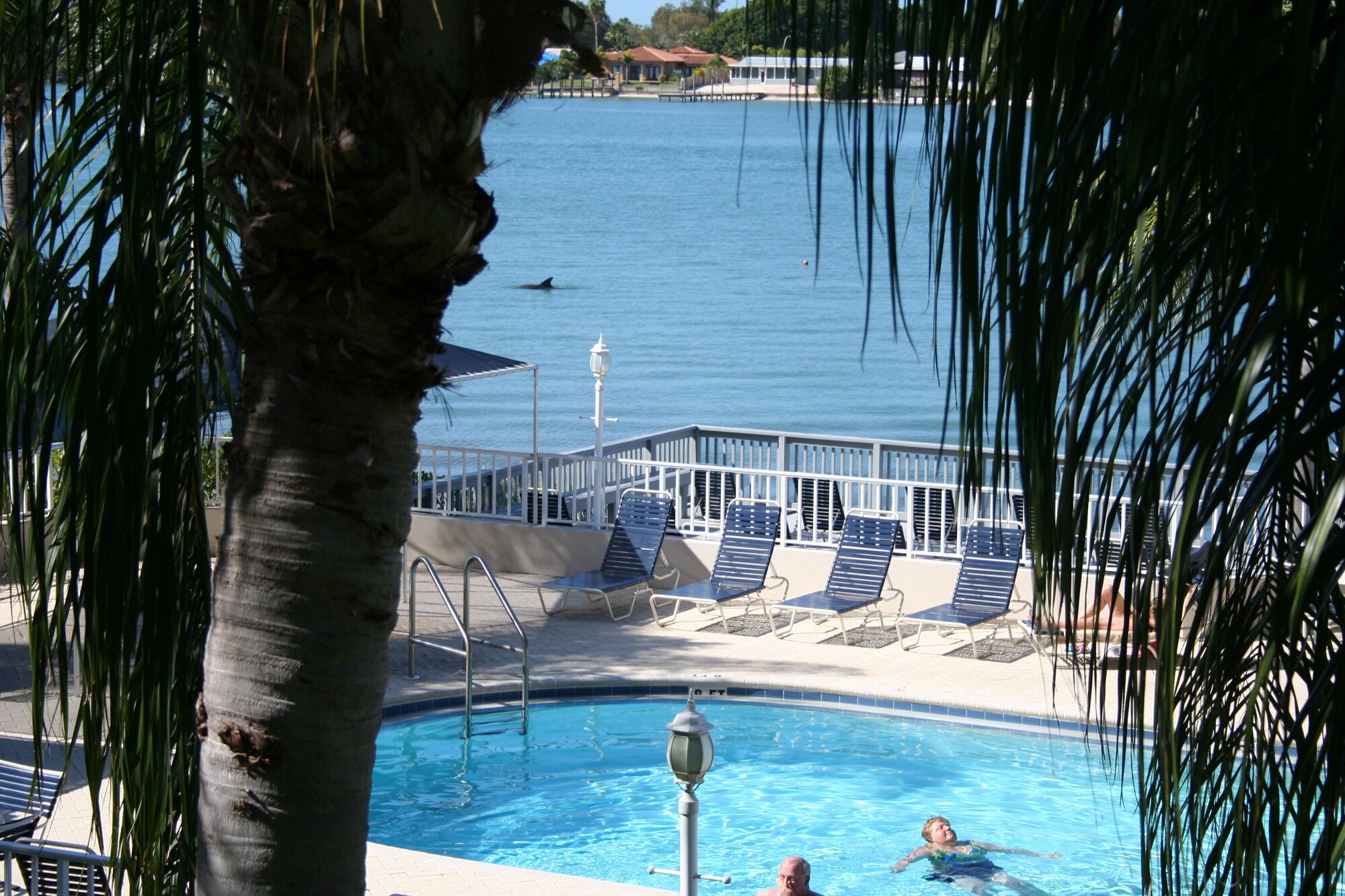 Bahia Vista by RedAwning