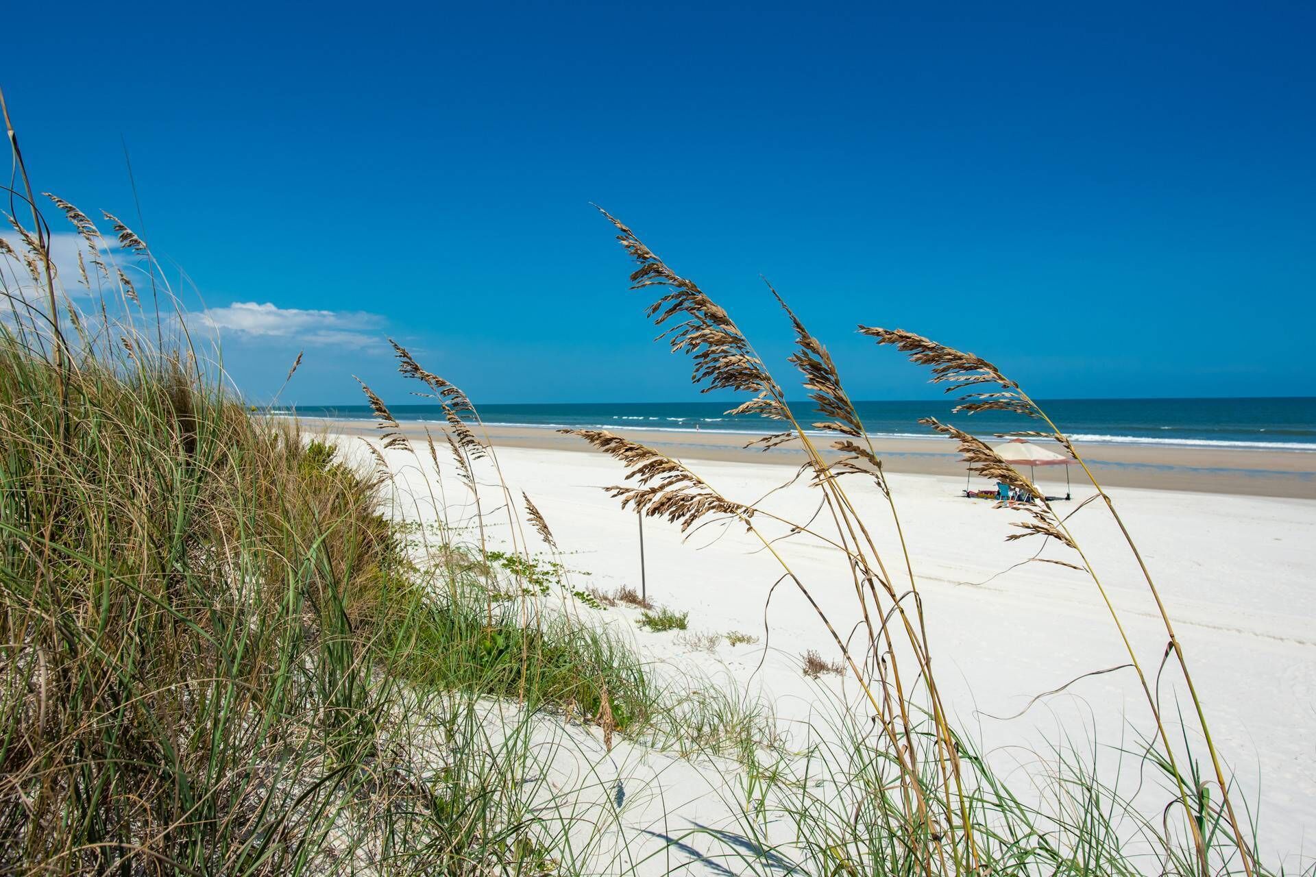 Array of Sunshine Beach House