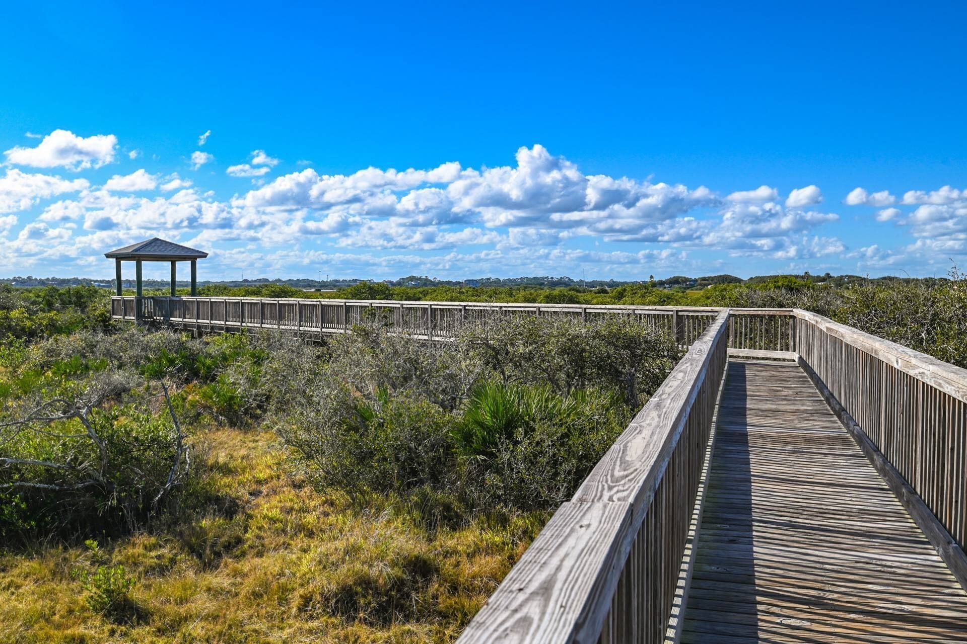 Pelicans Point