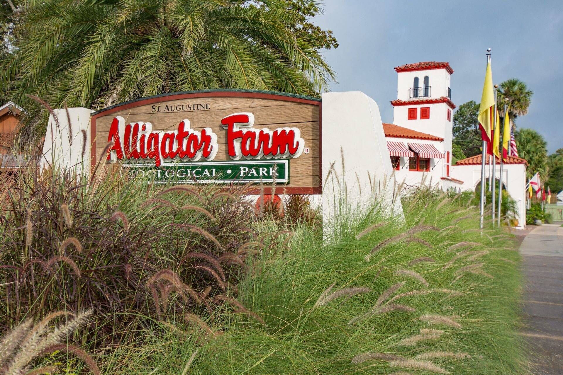 Pelicans Point
