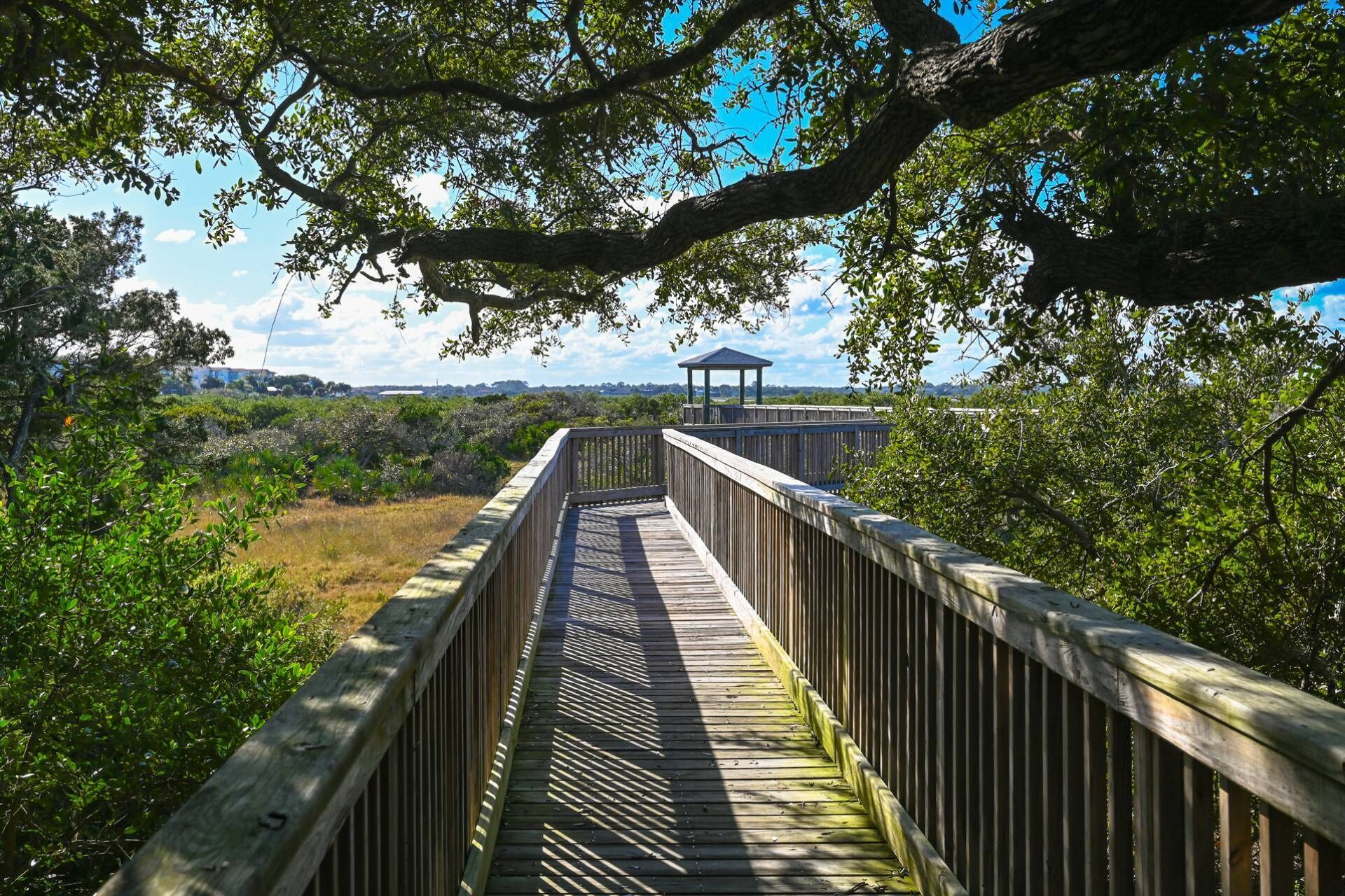 Pelicans Point