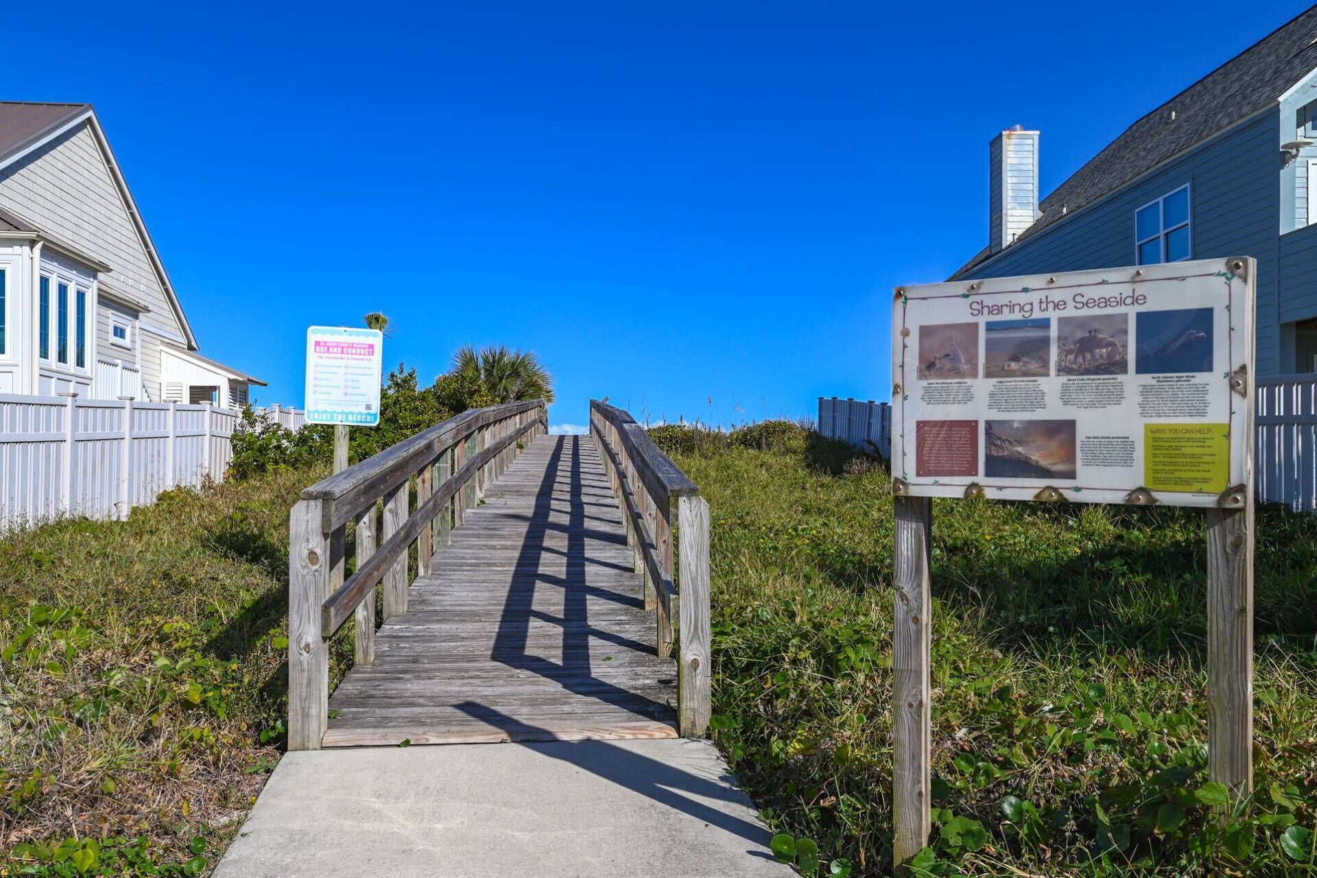 Pelicans Point