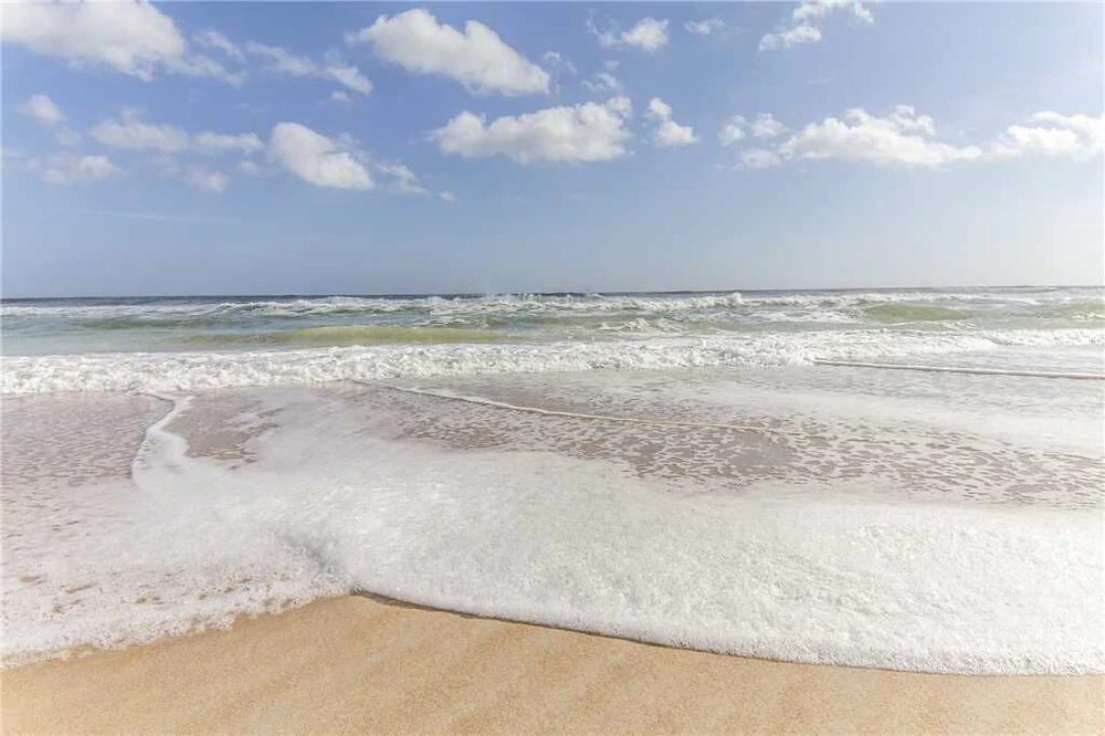 Seastar Sandbar