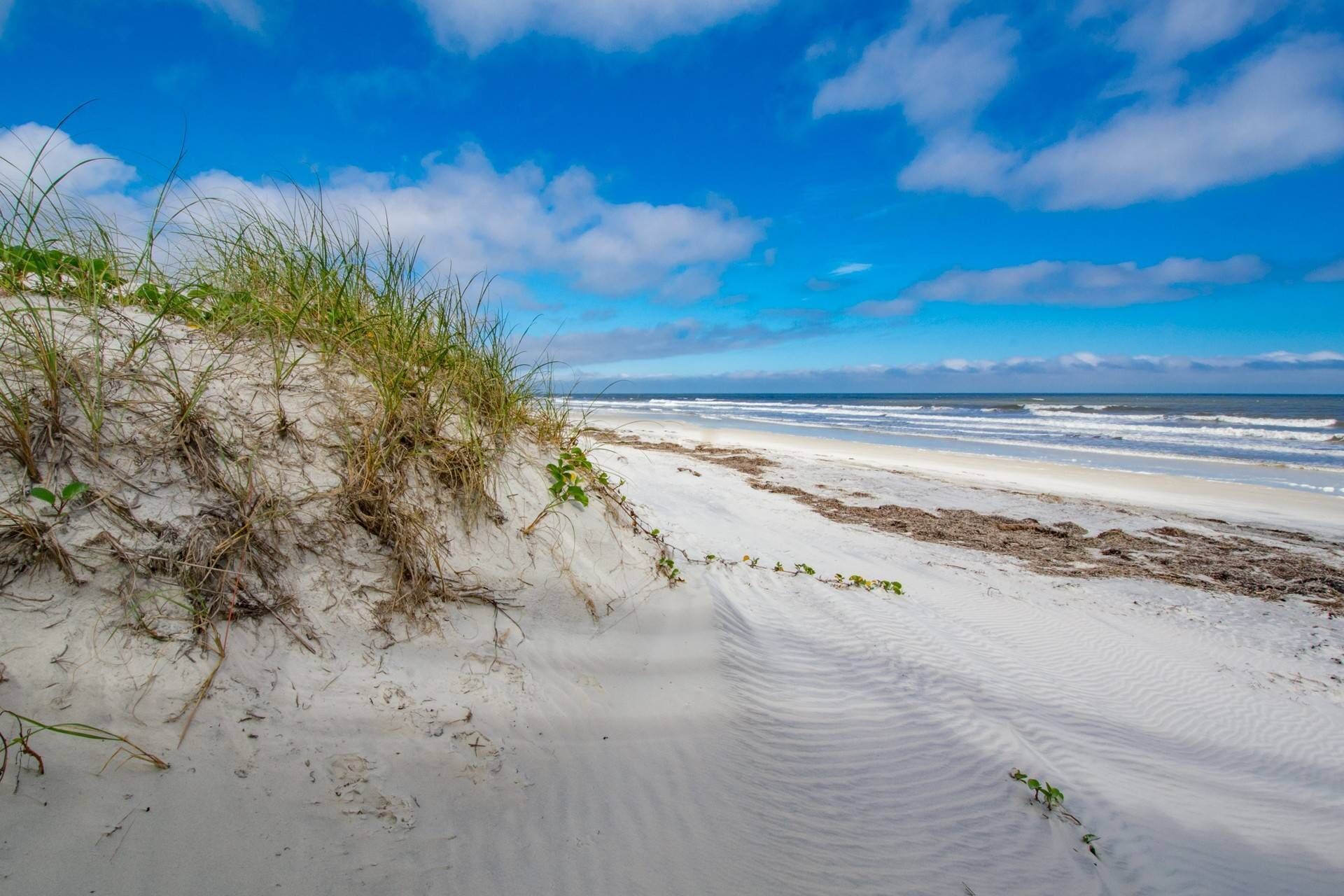 Sunburst Shore