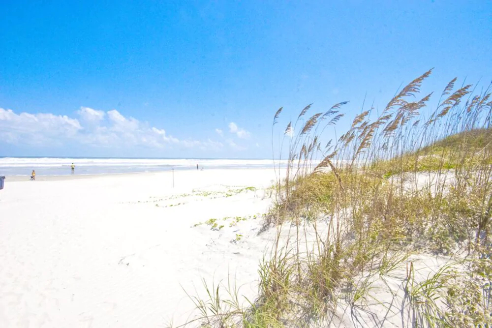 Sunshine State Of Mind